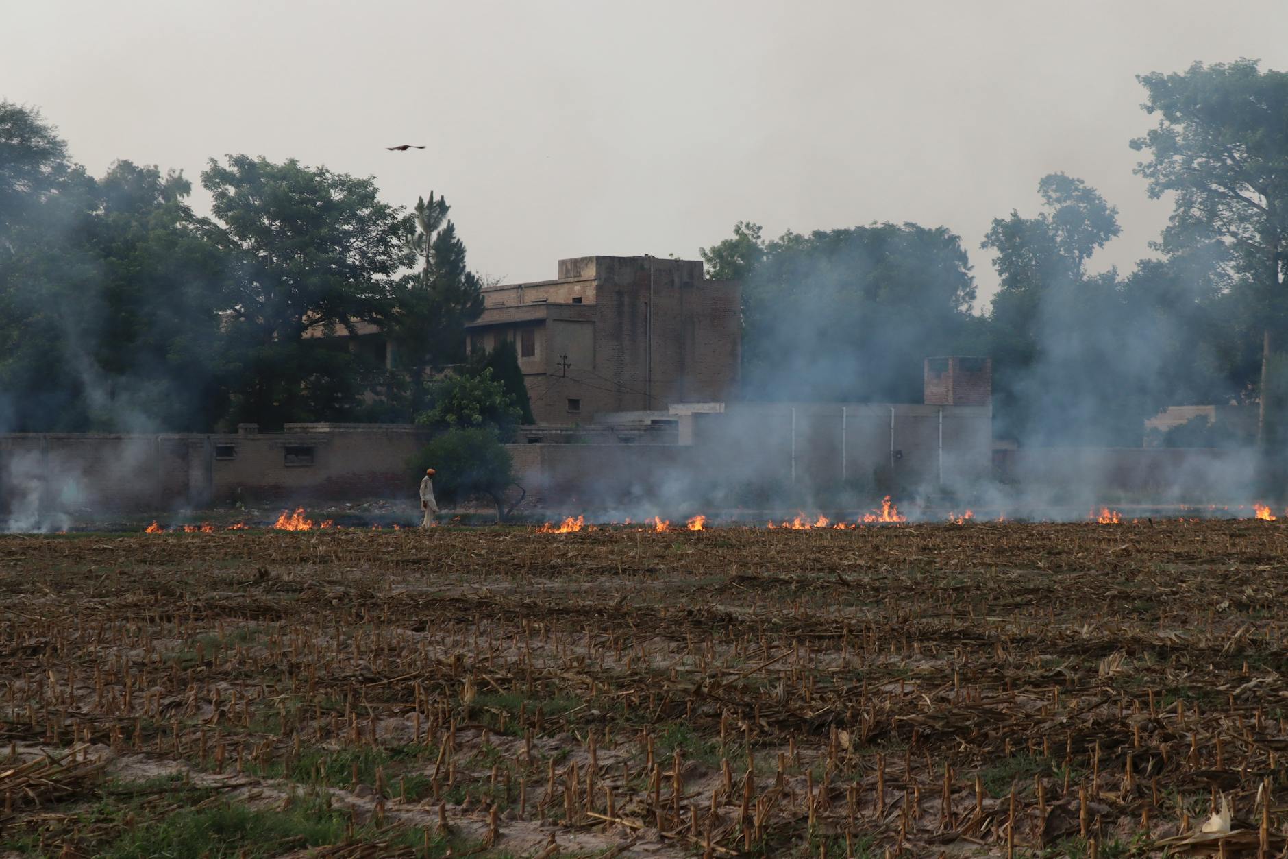 NCIS Initiative to Tackle Stubble Burning Gains Traction