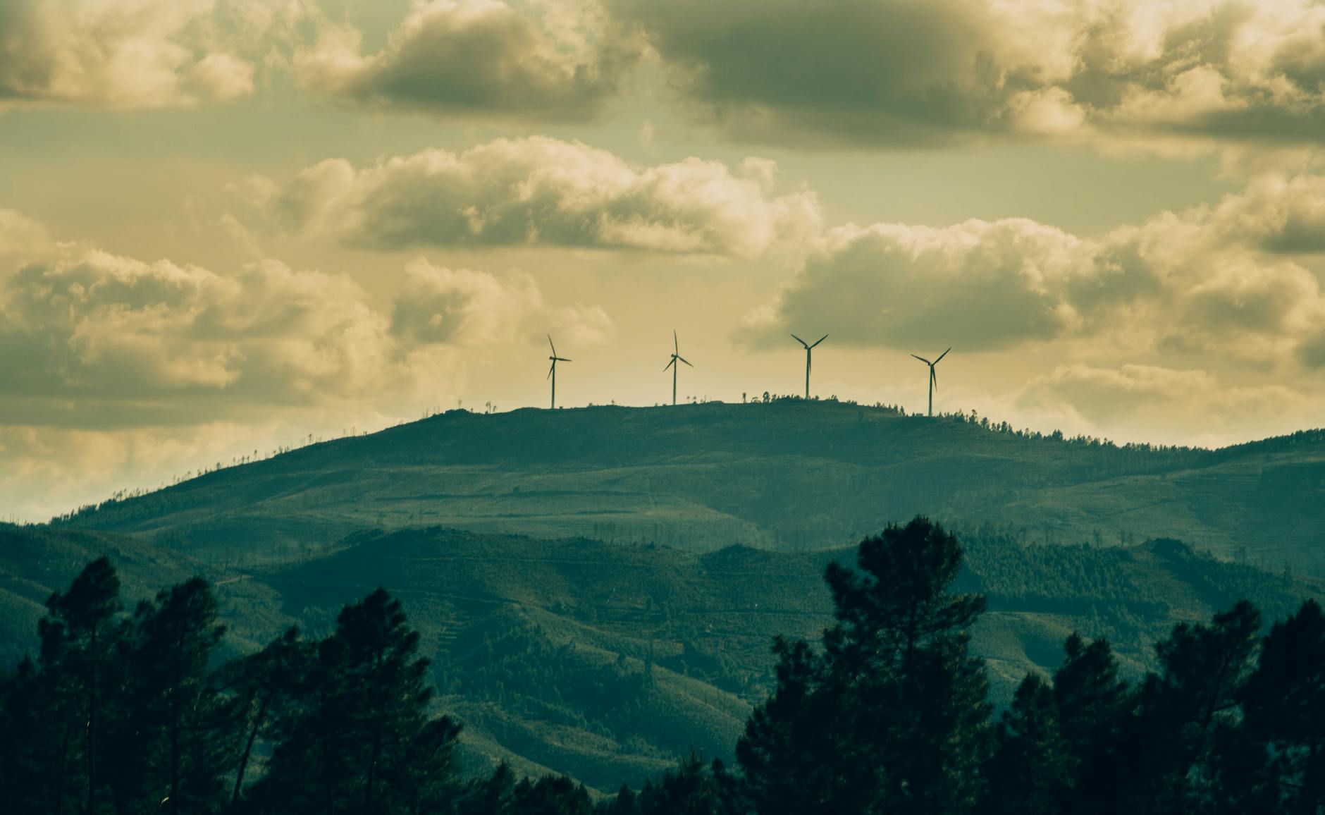 World Environment Day 2026: Confronting Climate Realities, Cultivating Hope
