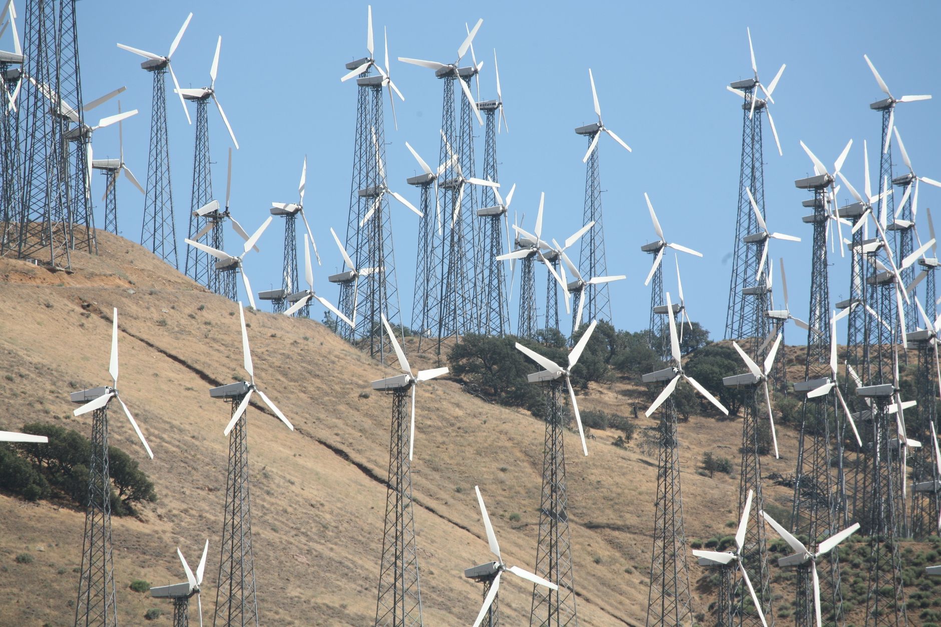 Trump Administration's Wind Energy U-Turn Sparks Industry Chaos