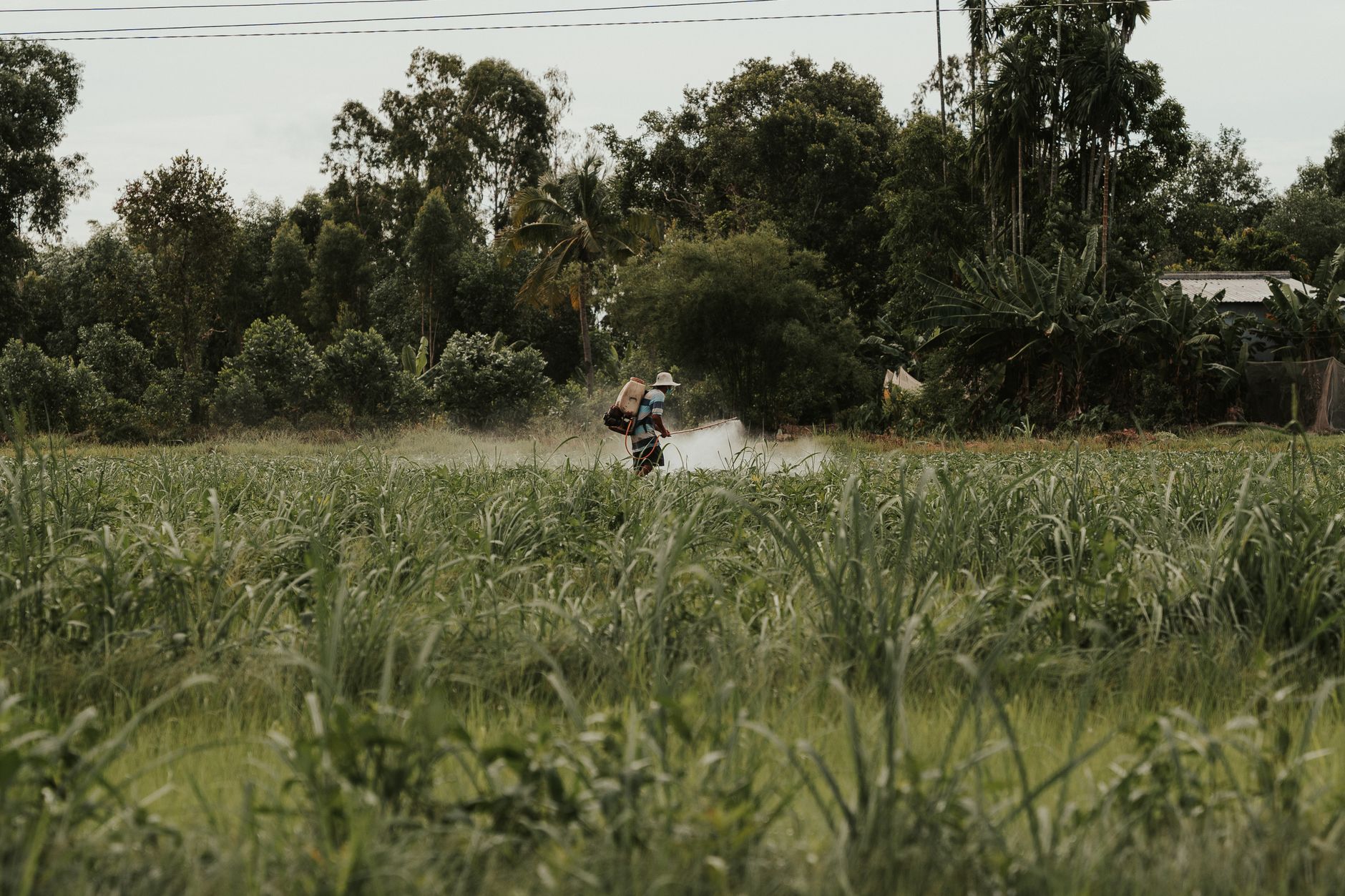 South Africa Seeks Safer Alternatives to Hazardous Pesticides