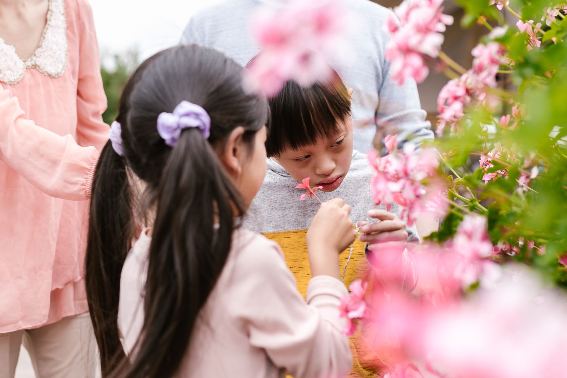 Why Teaching Children to Sniff Matters for Their Wellbeing