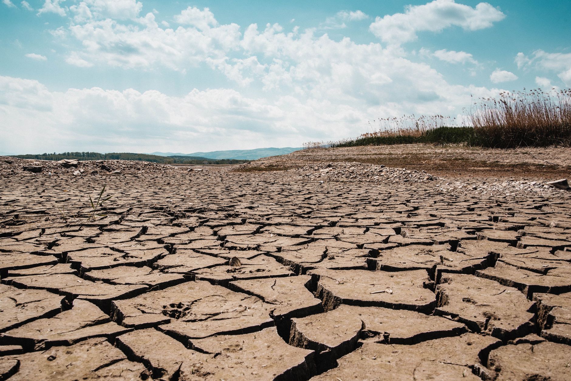 EU Pledges Tougher Water Regulations Amidst Rising Concerns