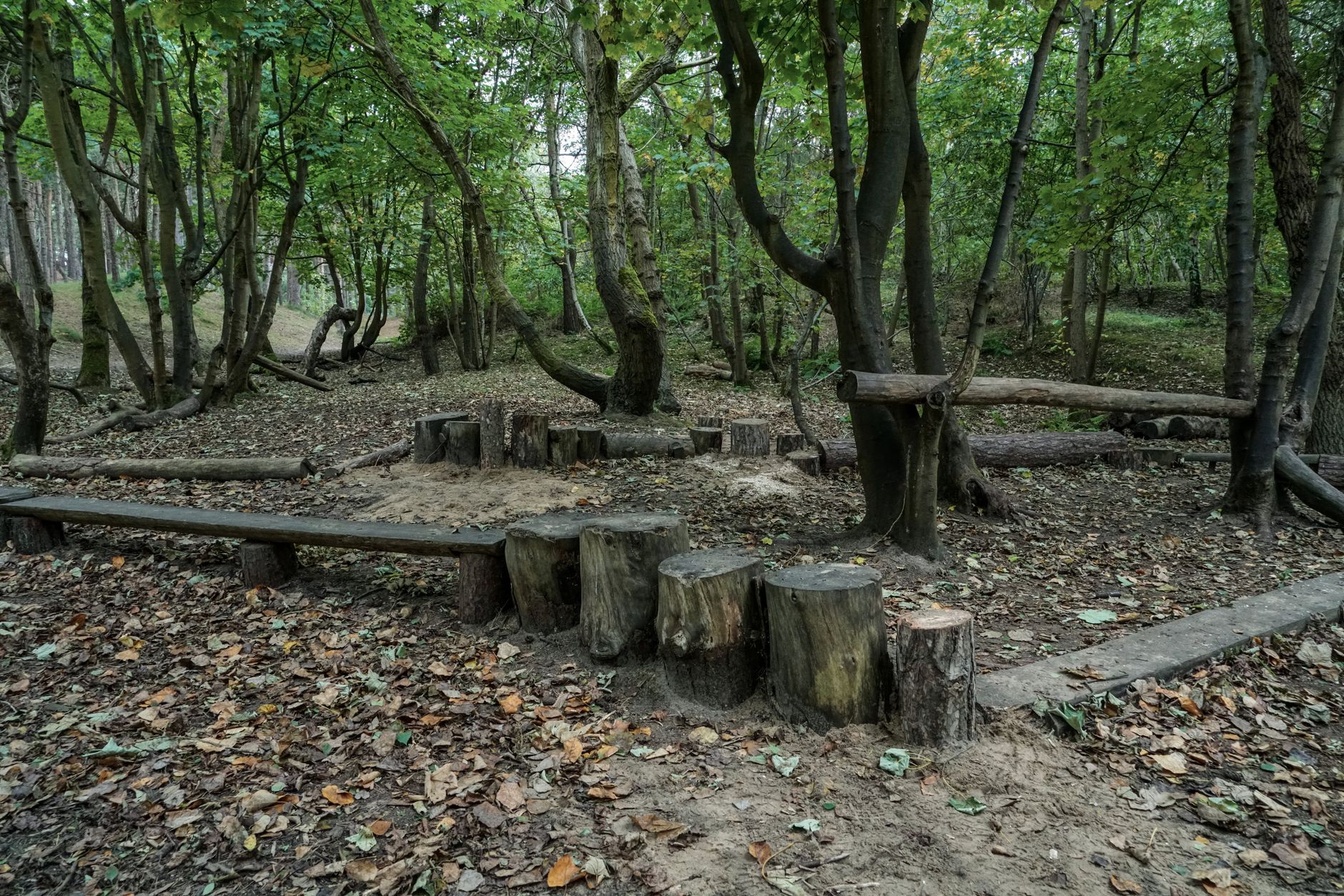 Environmental Concerns Threaten Charlotte Church's Forest School