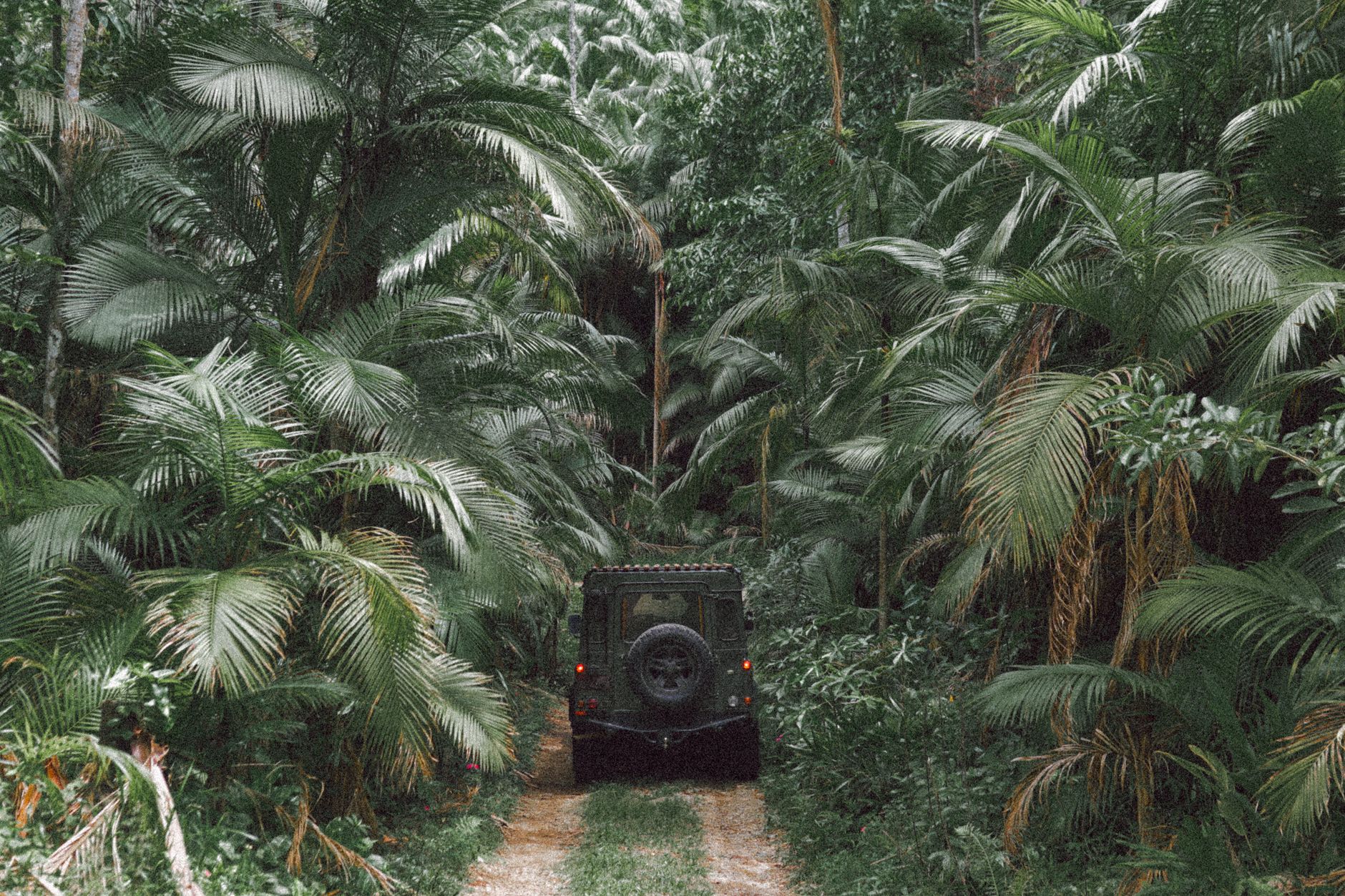 The Humble Beginnings of Amazon: A Road Trip Like No Other