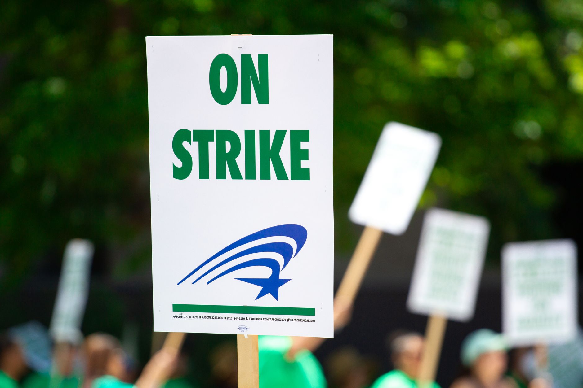 Unprecedented Strike: Northern Ireland's Consultants Walk Out