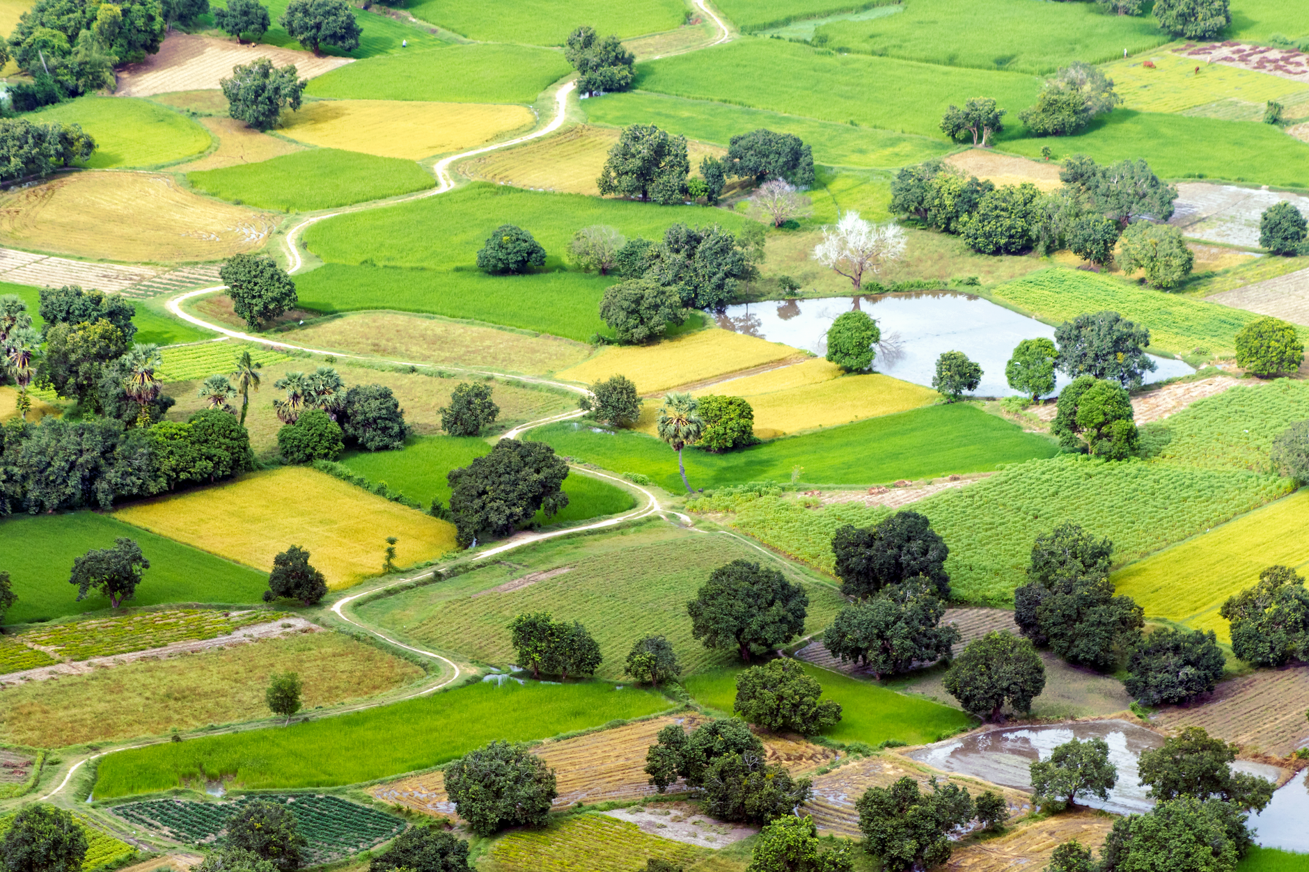 Fears Emerge Over Loosened Criteria for Environmental Committees