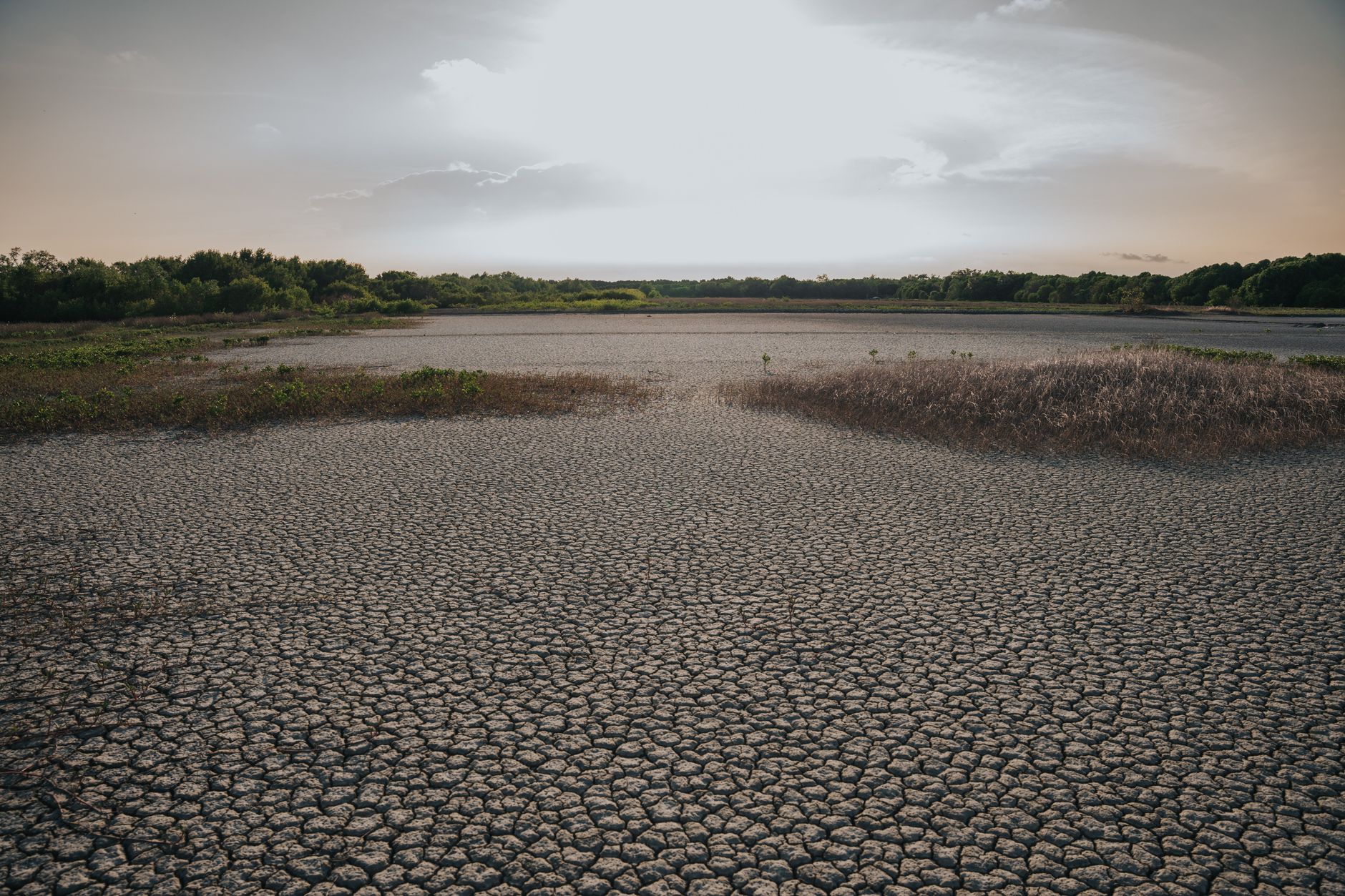 England Faces Severe Drought: Half the Nation Parched