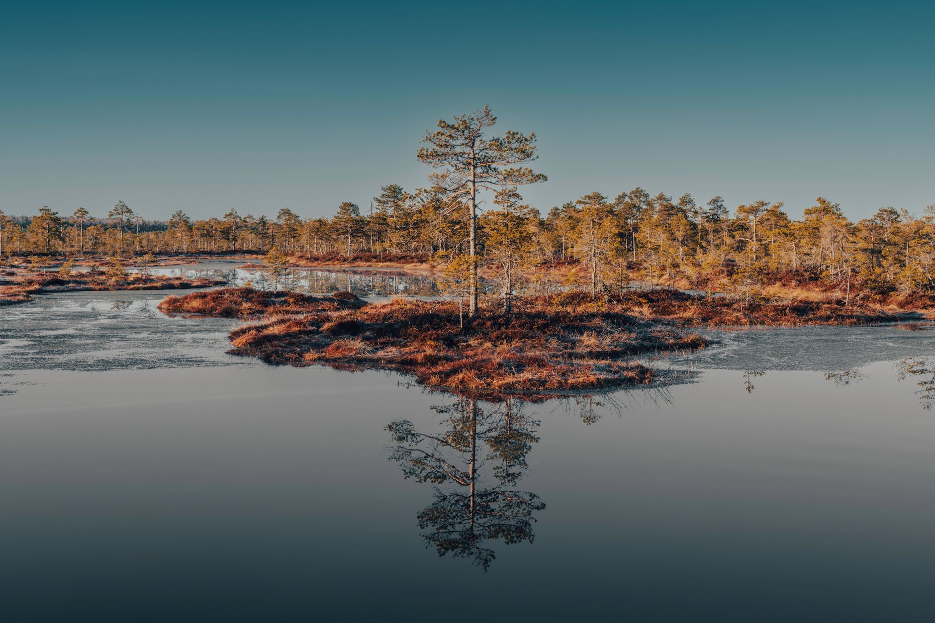 Estonia Tops Environmental Index as Nations Struggle with Net-Zero Goals