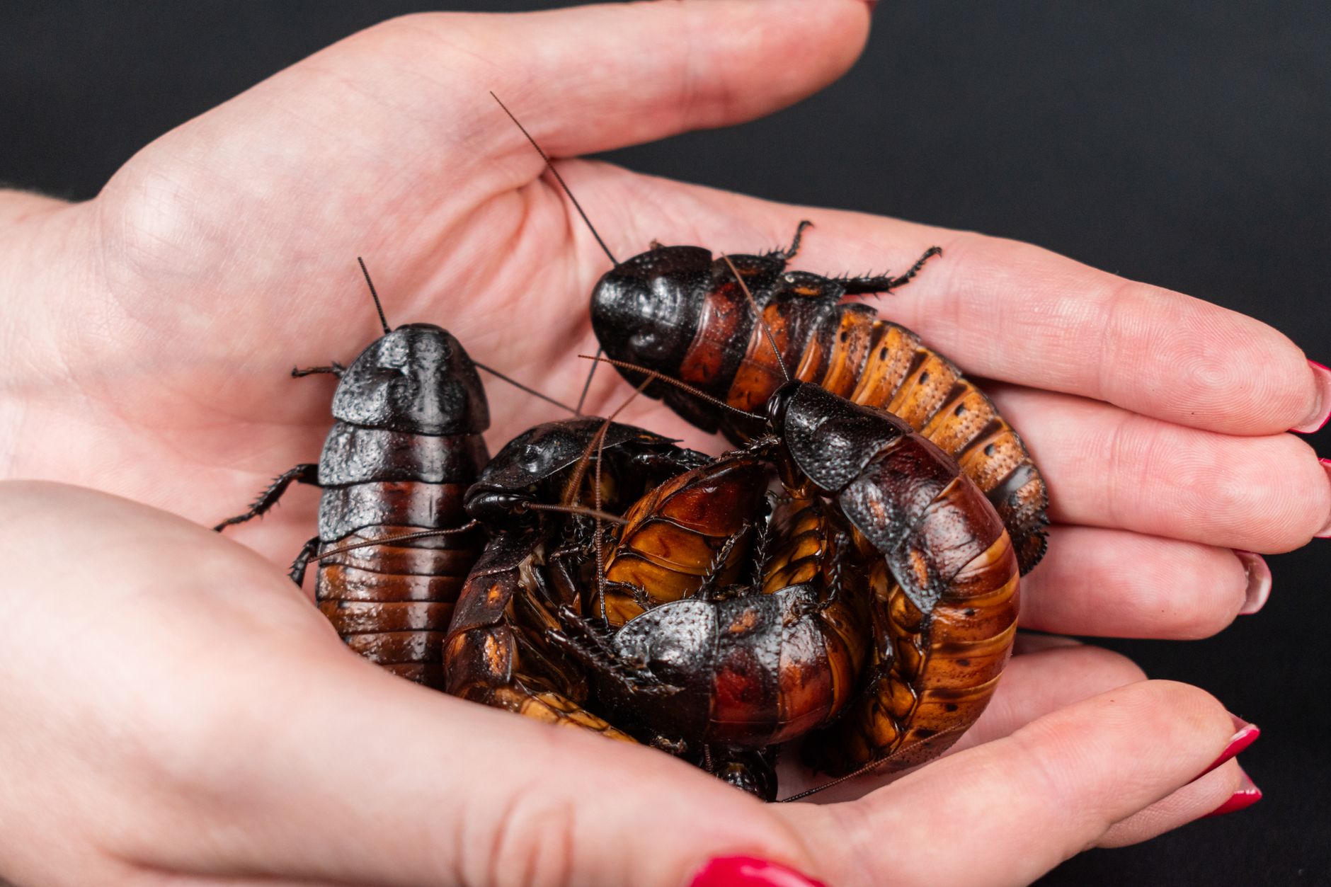 Six Unusual Science Stories You Might Have Overlooked