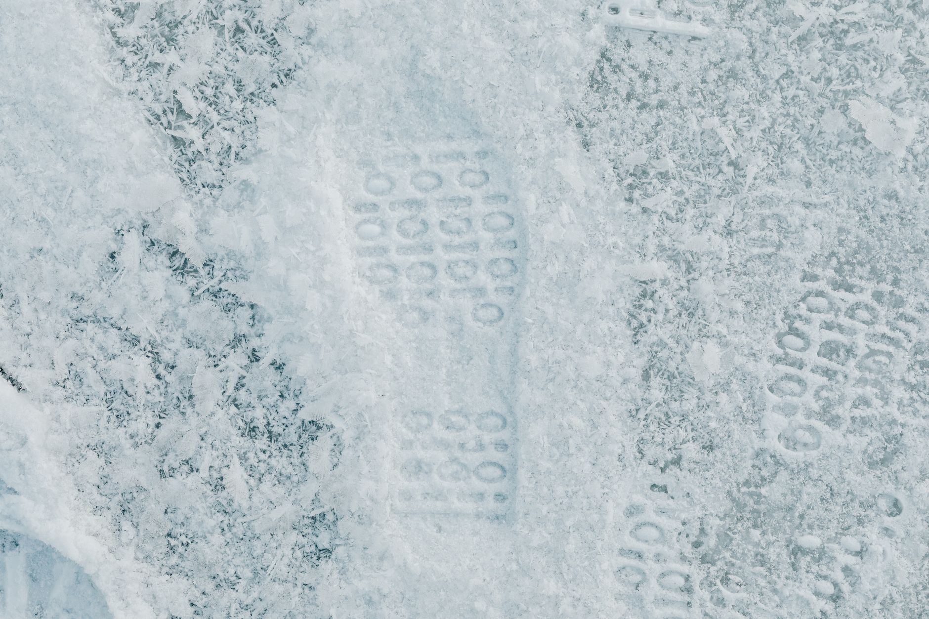 Ancient Footprints in New Mexico Reveal Ice Age Climate Shifts