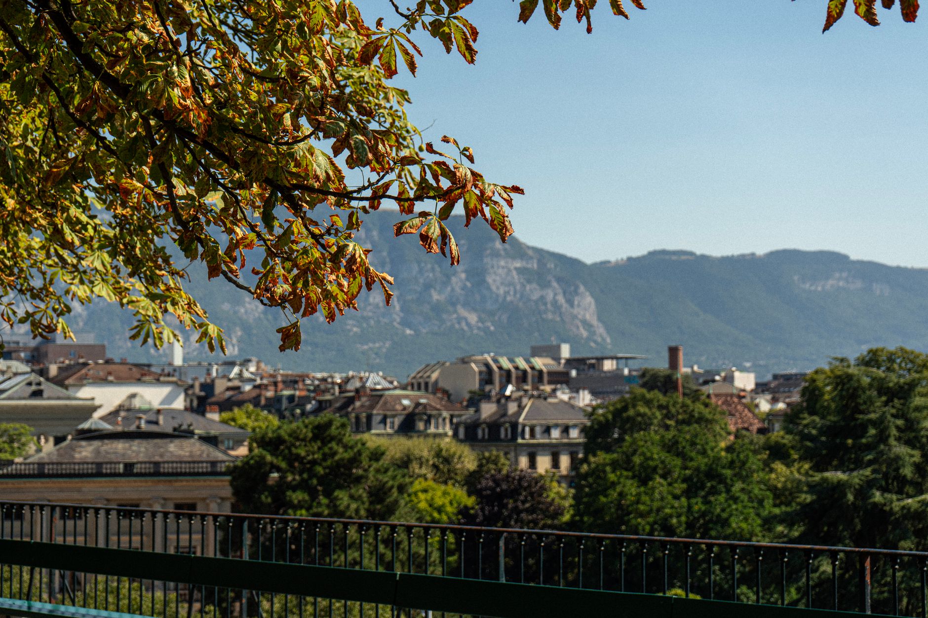 Geneva's Environmental Agenda: A Week of Crucial Discussions