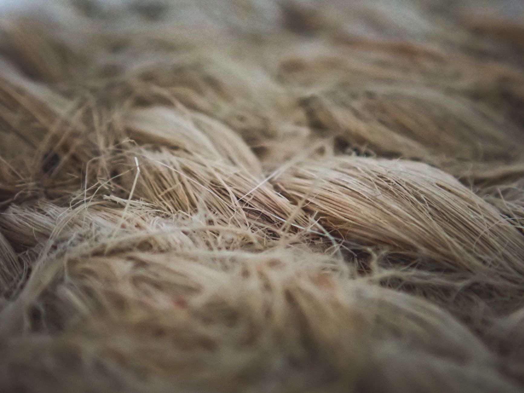 The Birth of Rayon: From Wood Pulp to Fashion Staple