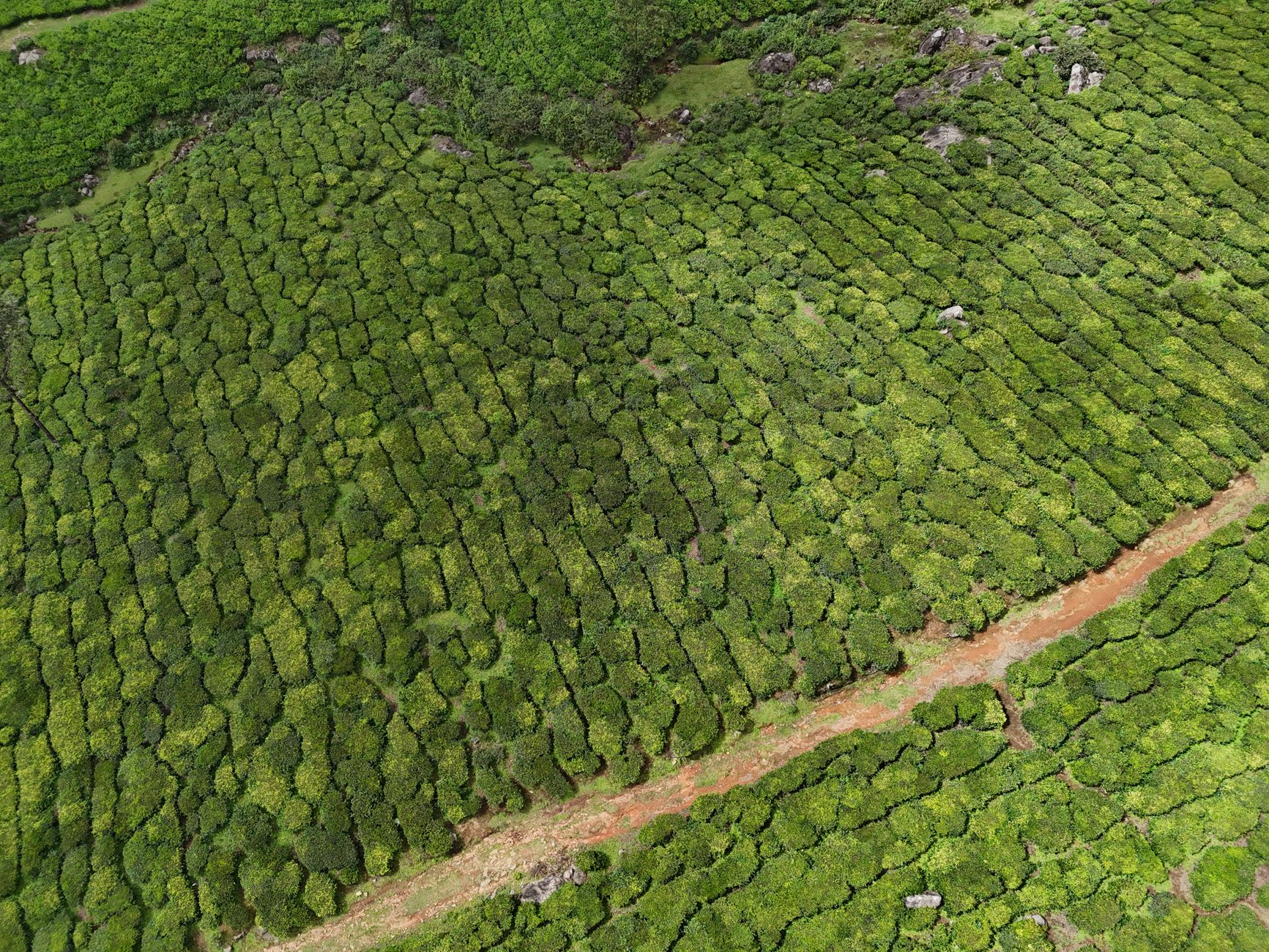 Courts Tackle Key Environmental Cases: September 2026 Digest
