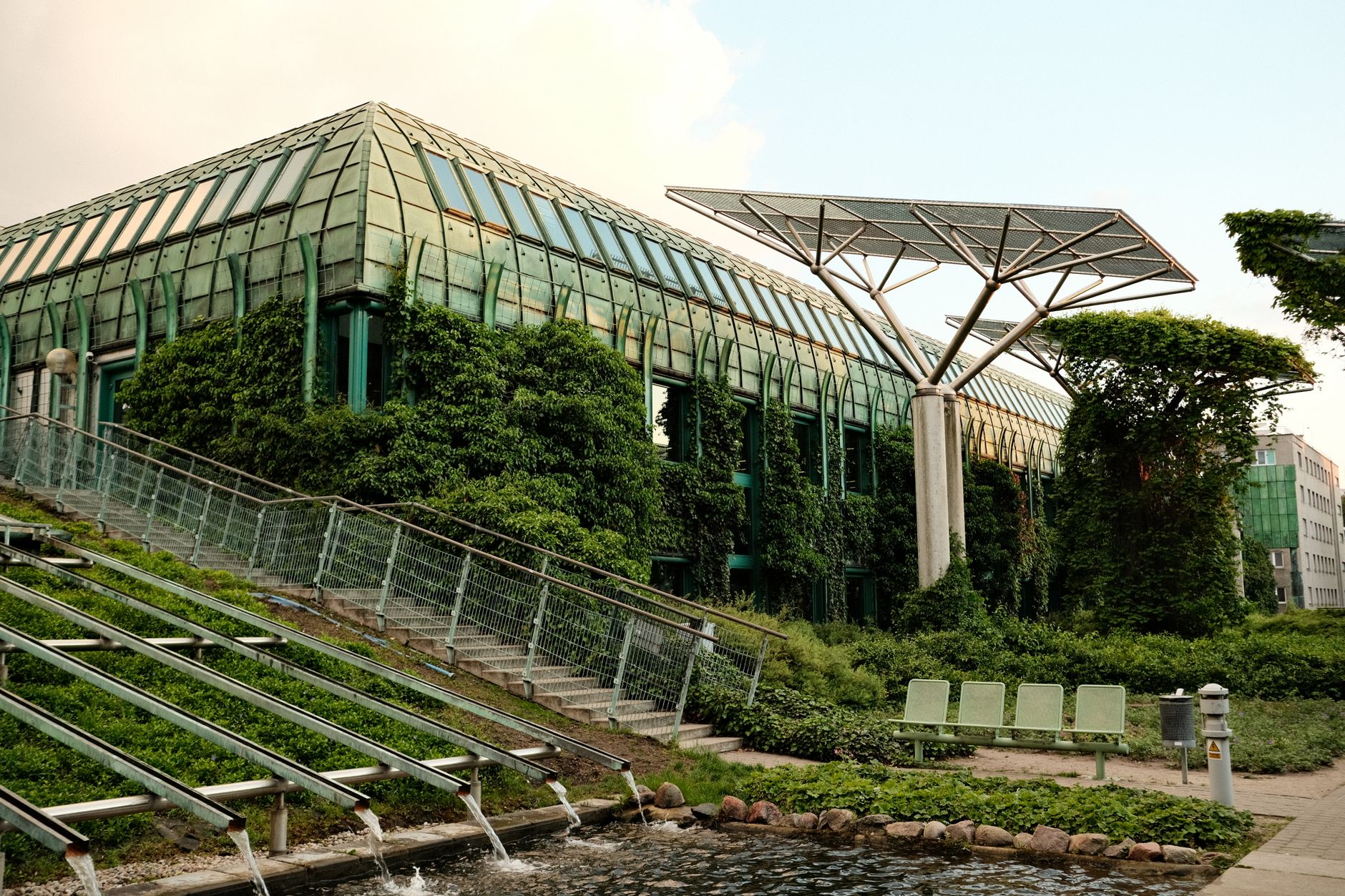 Urban Centres: The Crucial Battleground for Environmental Change