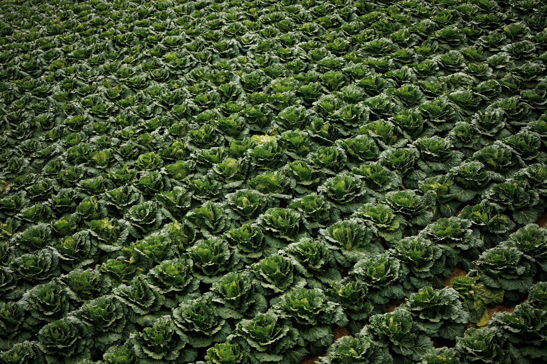 Antimicrobial Resistance: The Environmental Frontline