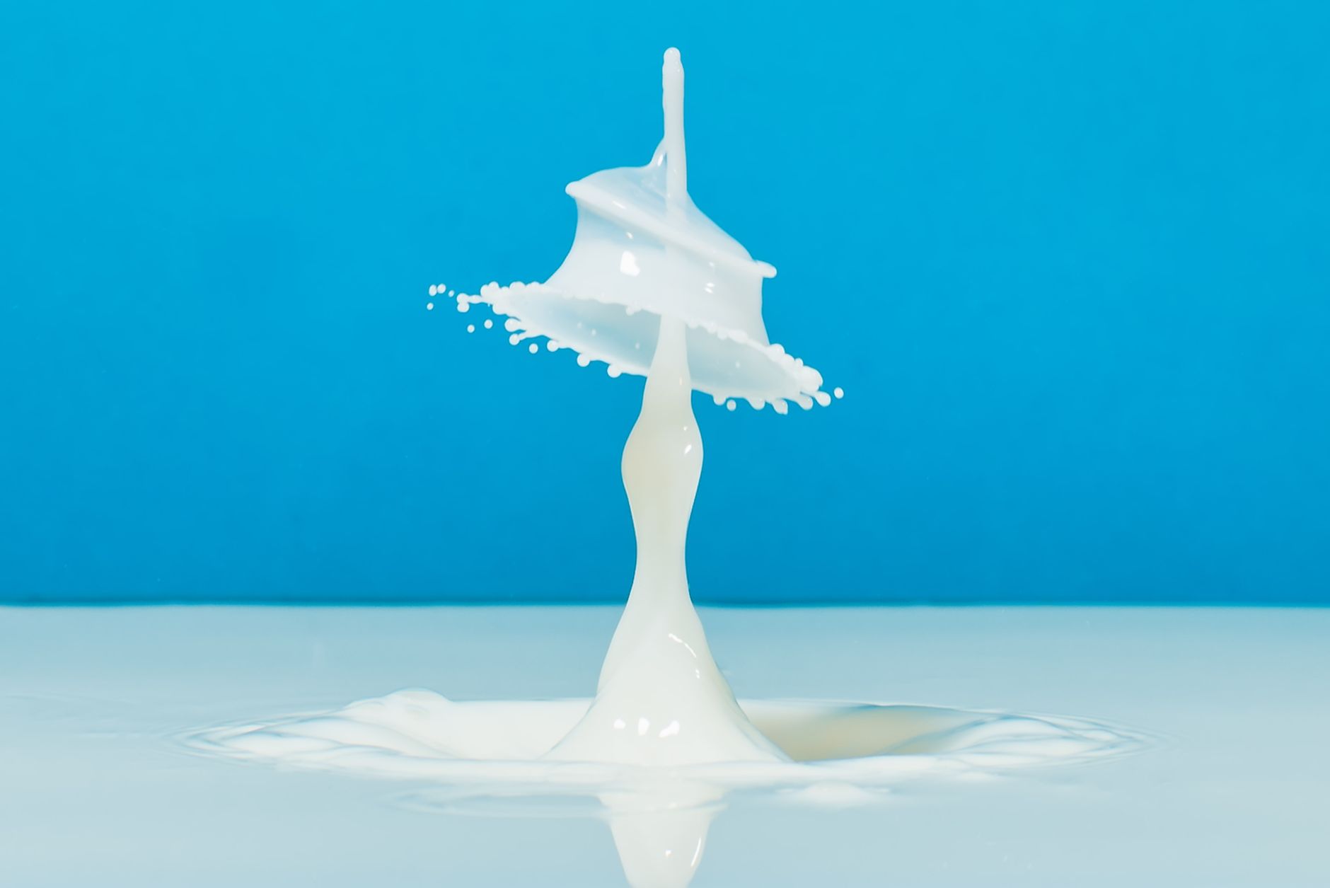 Bombay High Court Rules Milk Business Loss Compensable from Land Acquisition