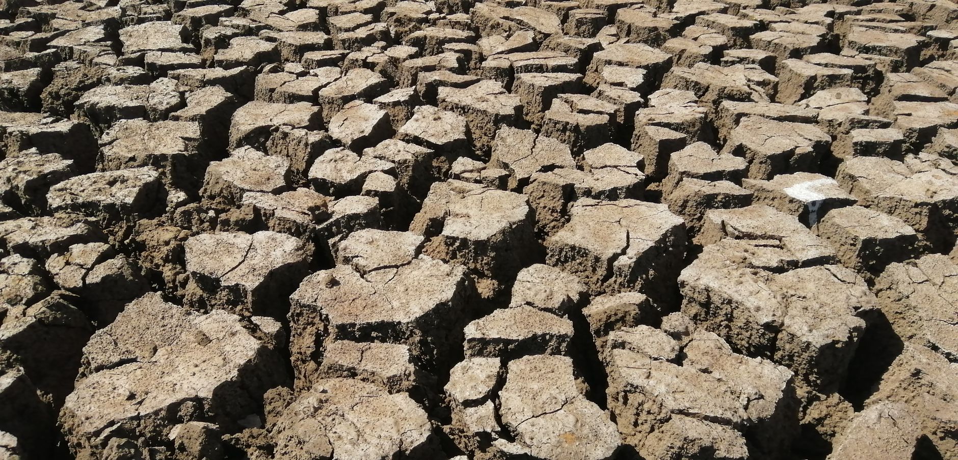 Prolonged Dry Spells Spark Environmental Concerns in Wales
