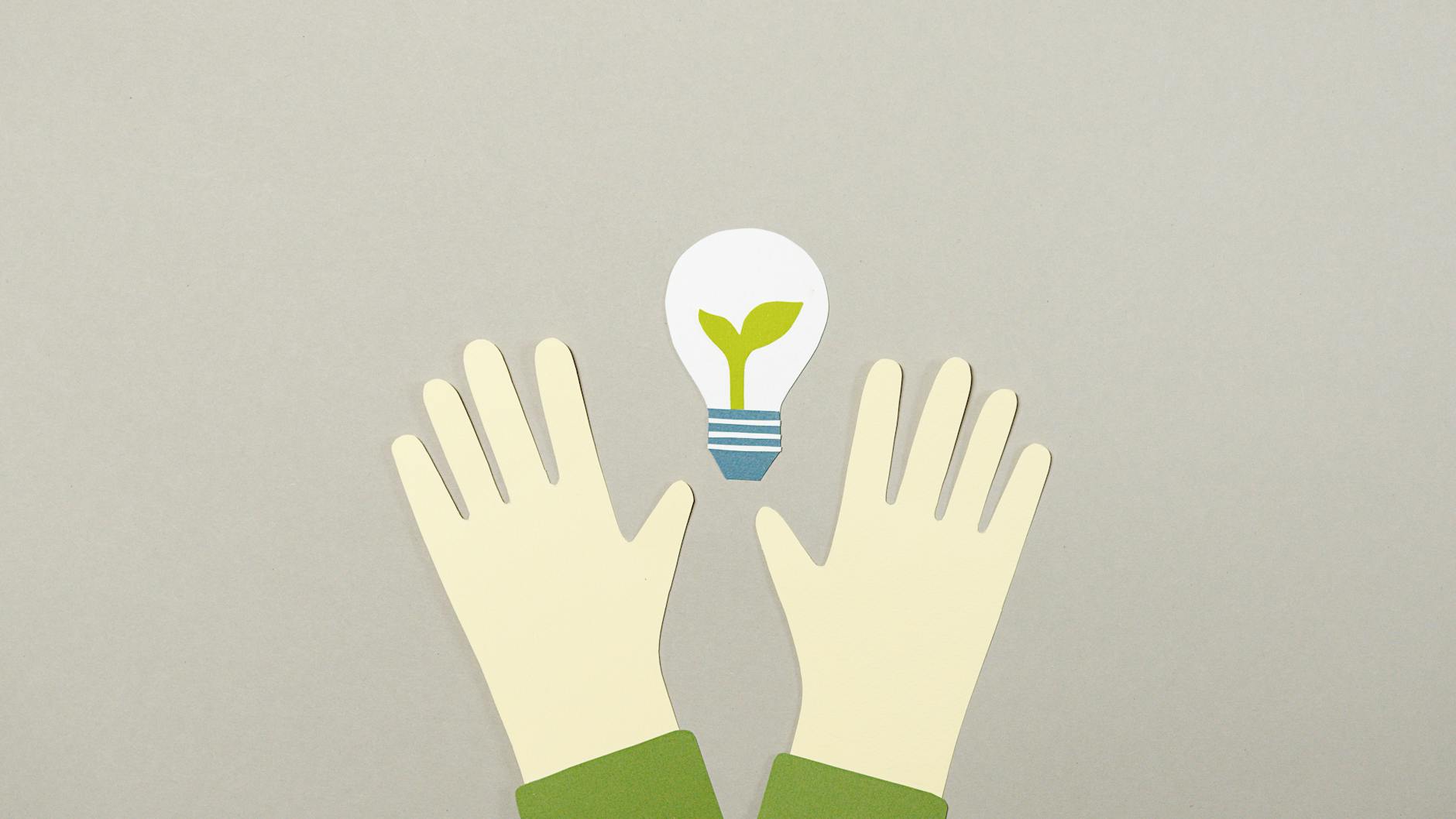 Riyadh Exhibition: Illustrations Illuminate Environmental Challenges