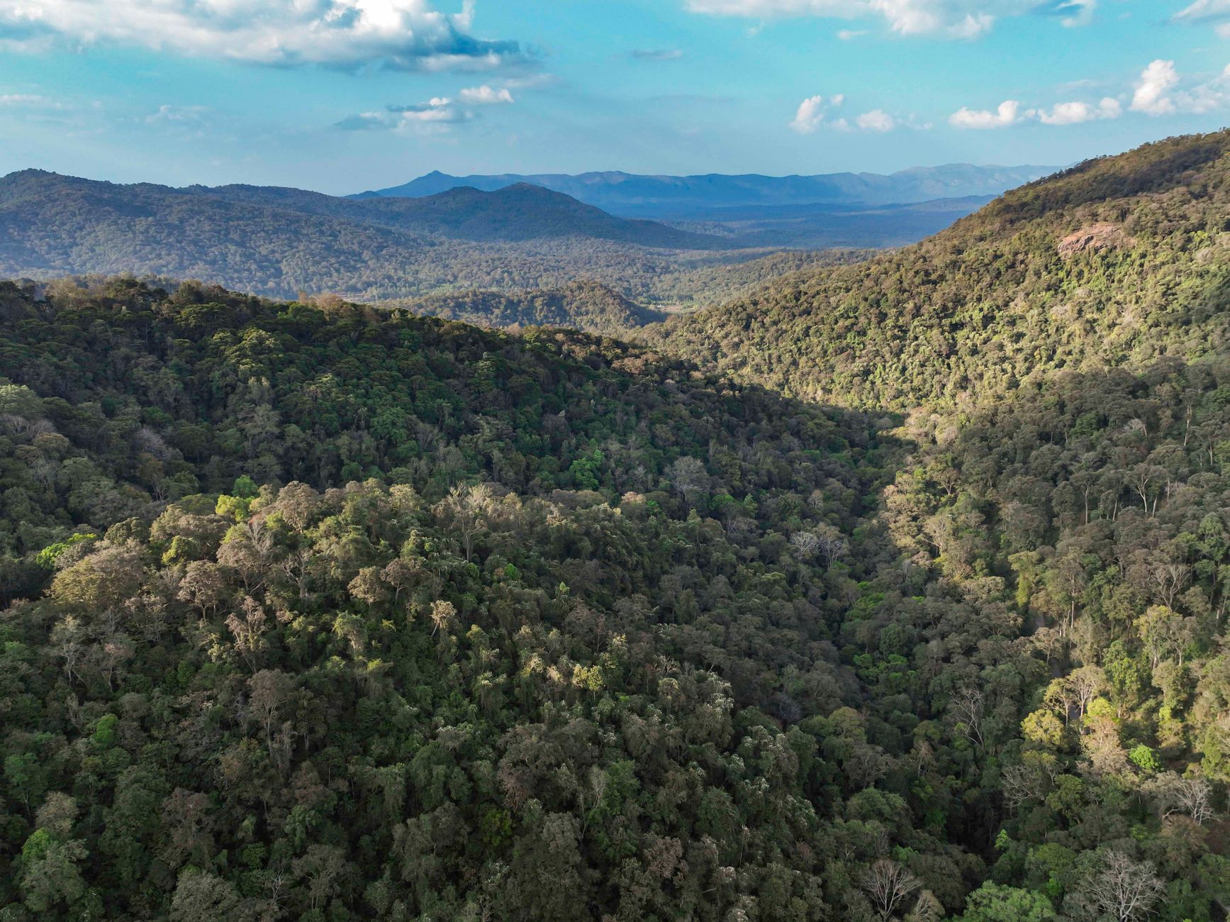 Conserving the Western Ghats: Science Meets Tradition