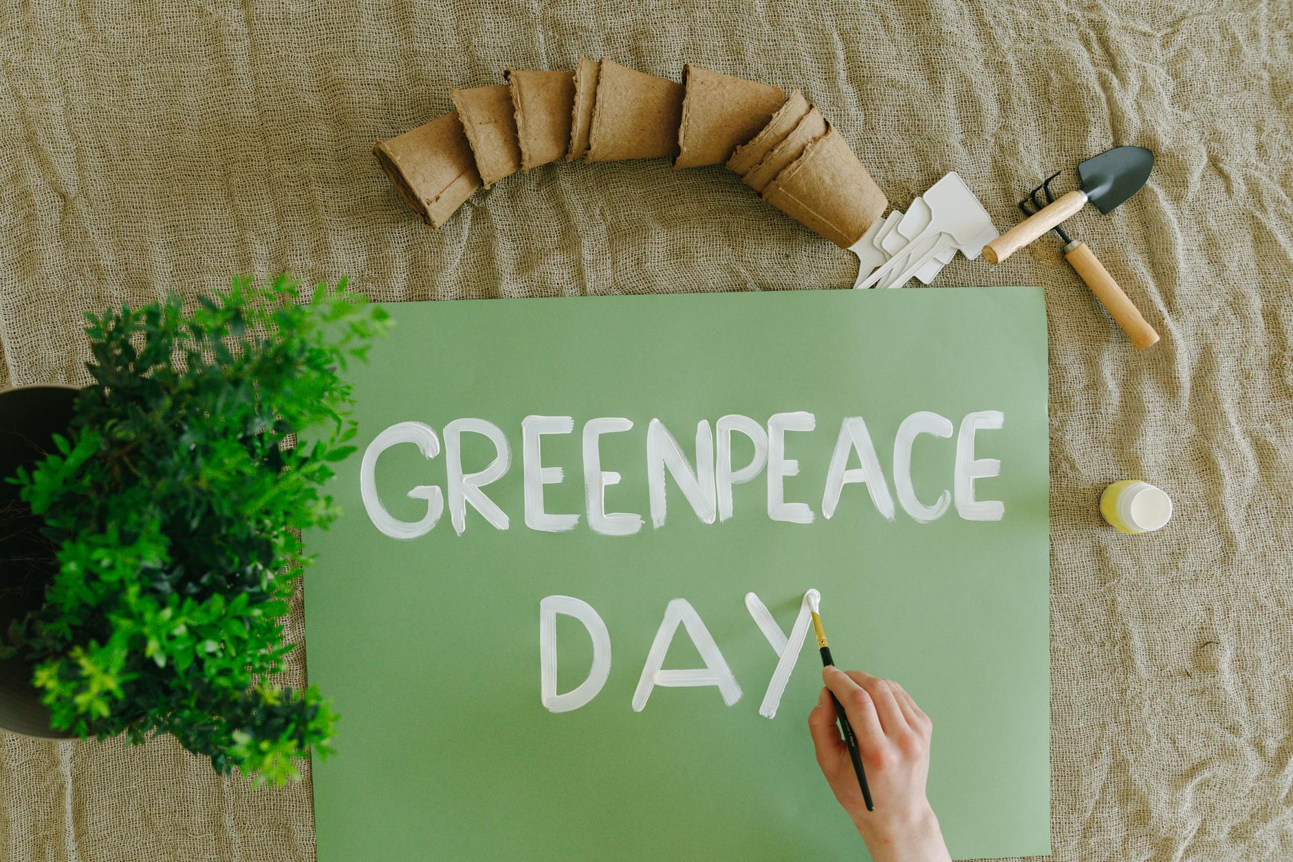Reflecting on Green Valleys: A World Environment Day Perspective