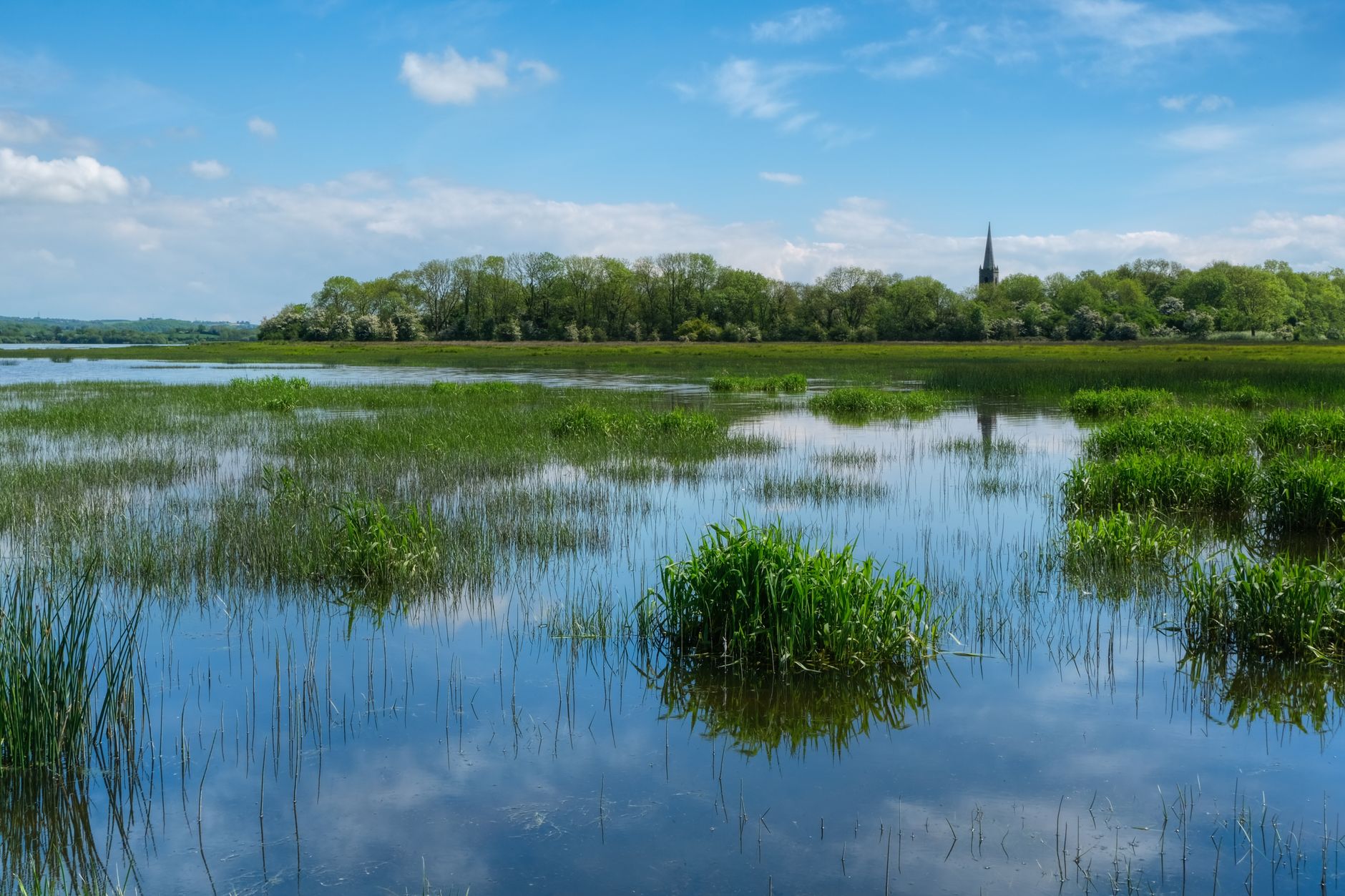 Watchdog Sounds Alarm on Northern Ireland's Environmental Targets
