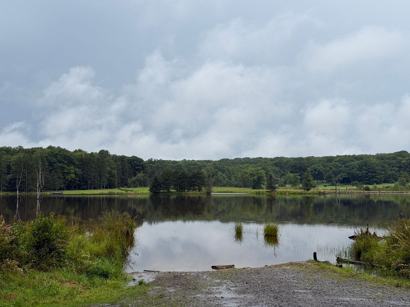 Pennsylvania's Environmental Legacy: Protecting Nature for Future Generations