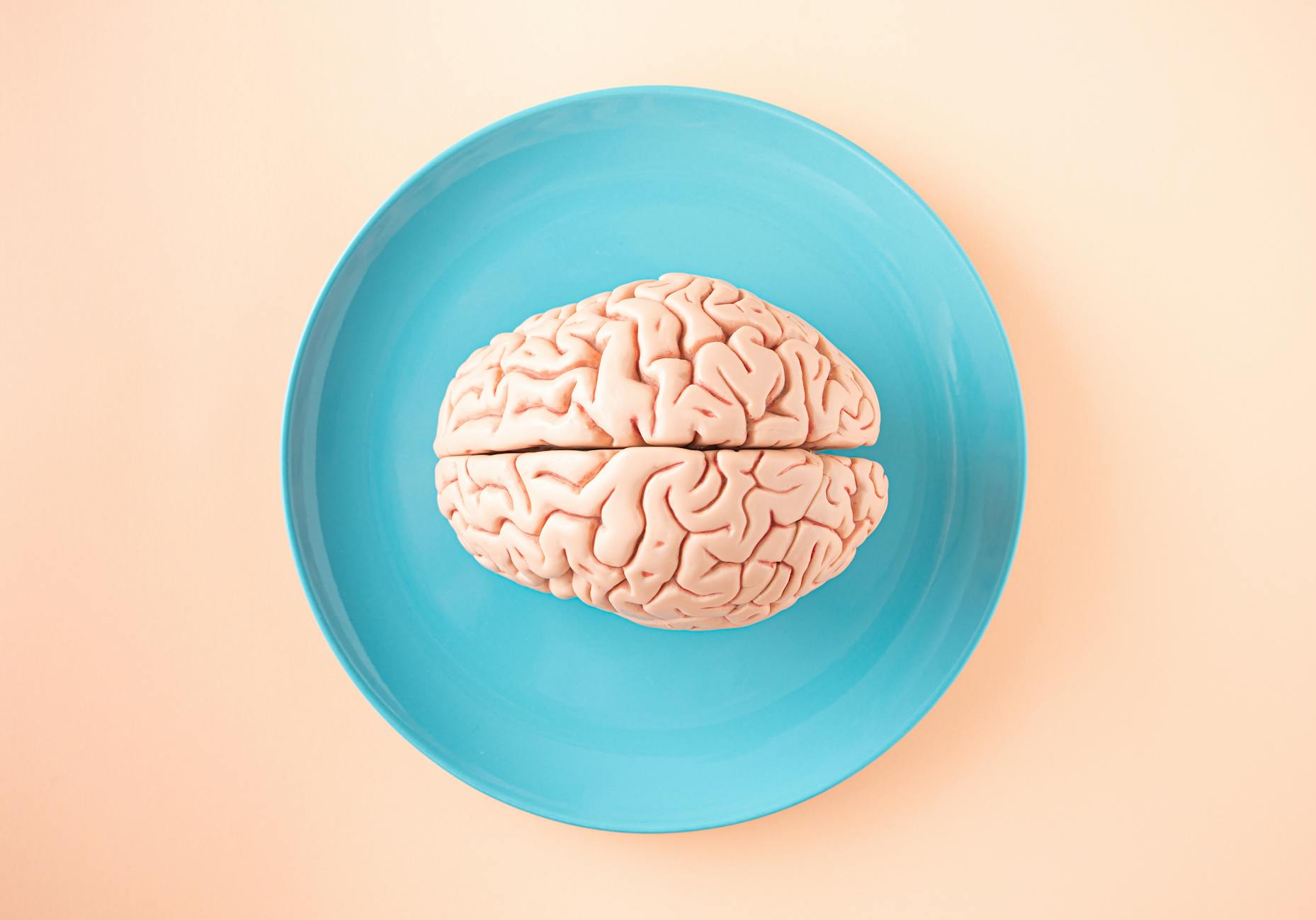 Unravelling the Brain: Born Full, Learnt Lean