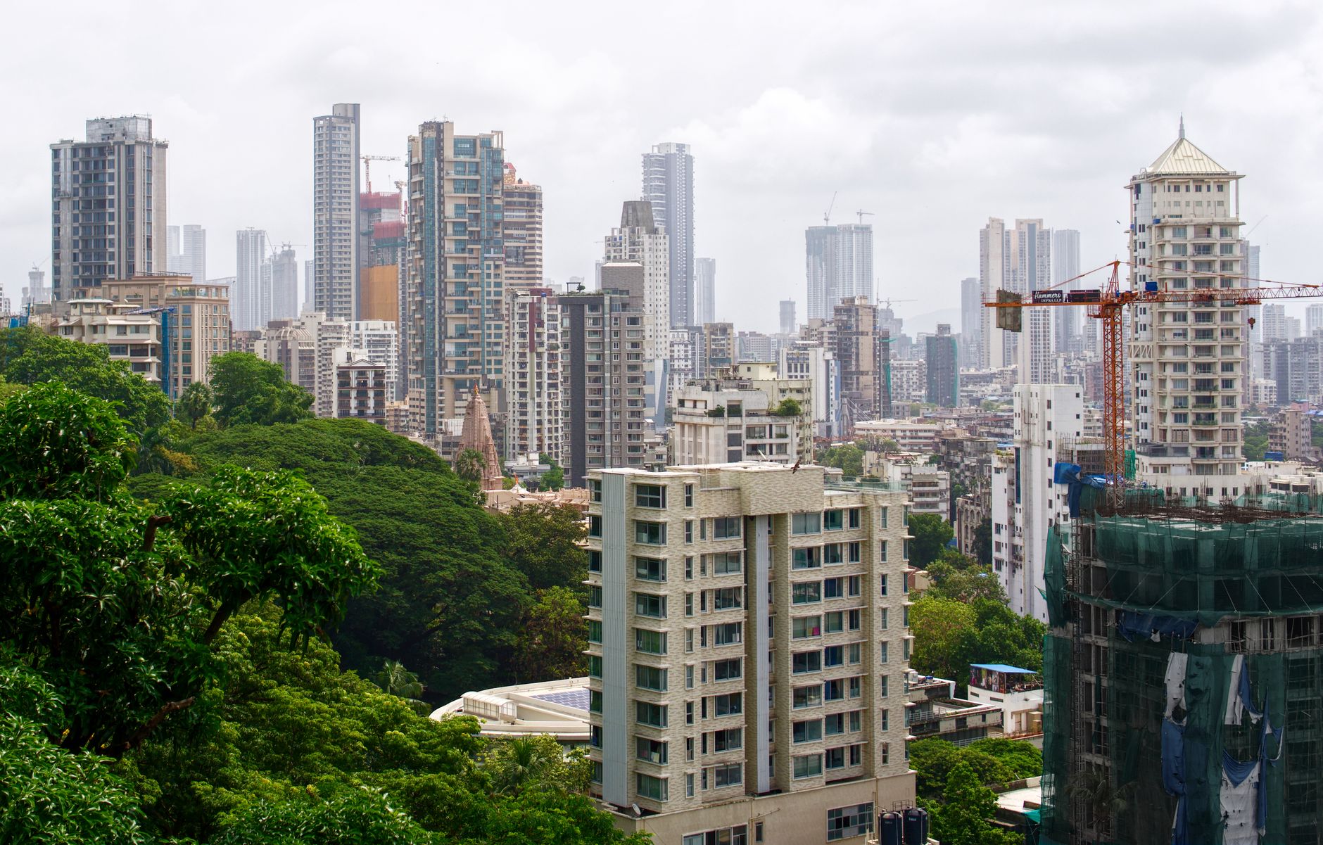 Balancing Act: Courts Urged to Harmonise Environment and Development
