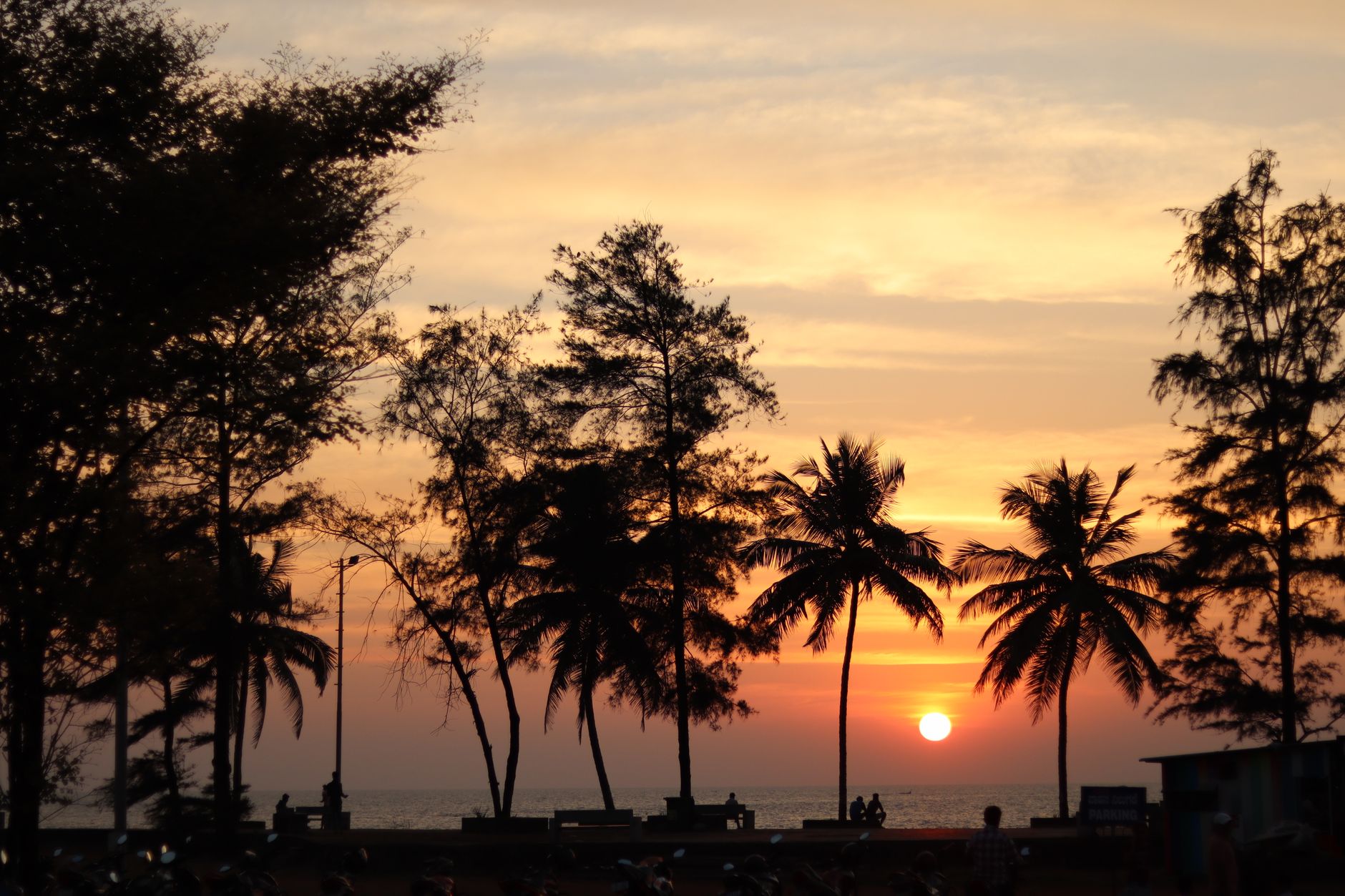 Tech Professionals Eye Mangaluru's Silicon Beach for a Career Revival