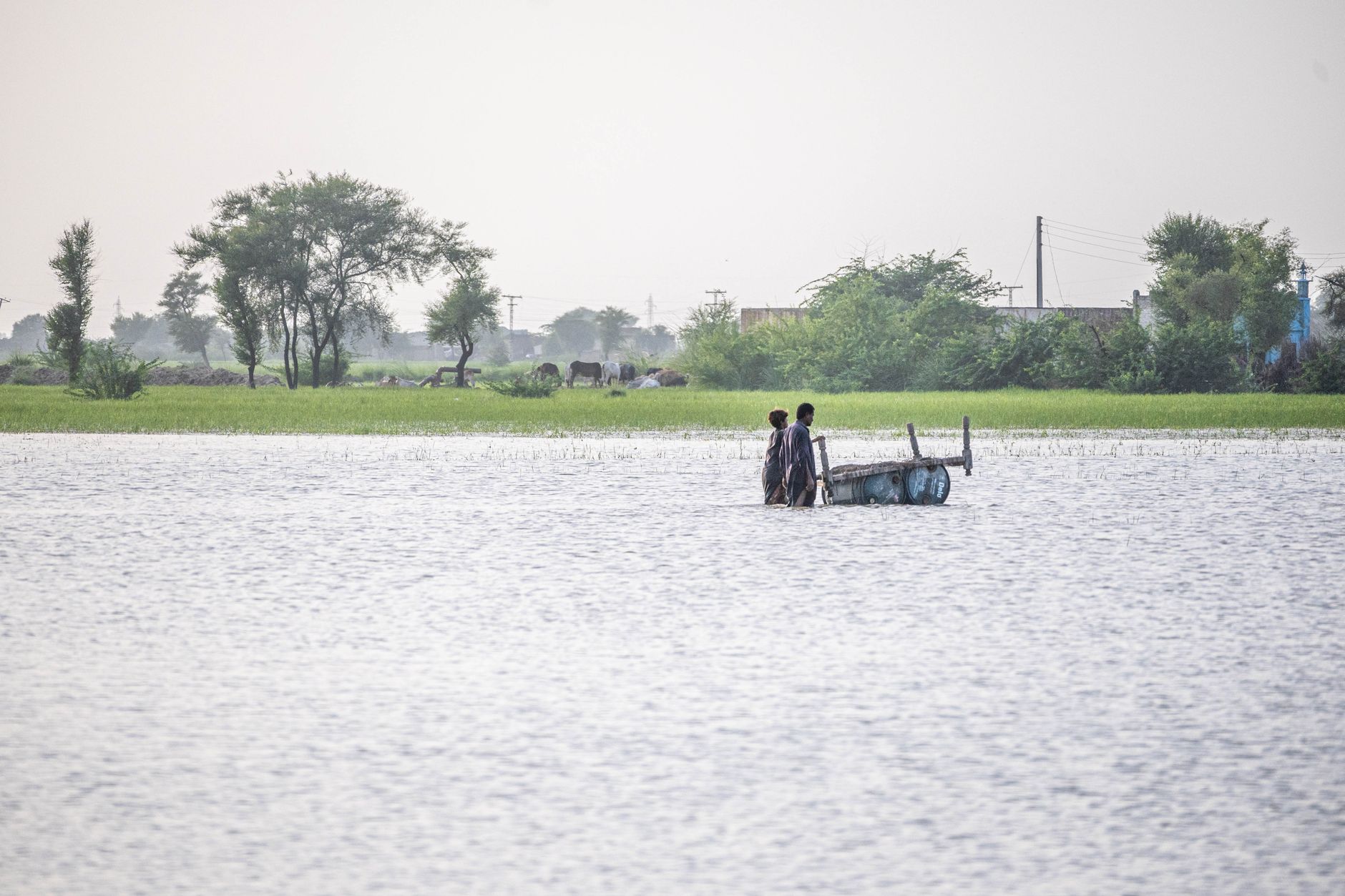 Unveiling Humanity's Mark on the Earth's Water Cycle