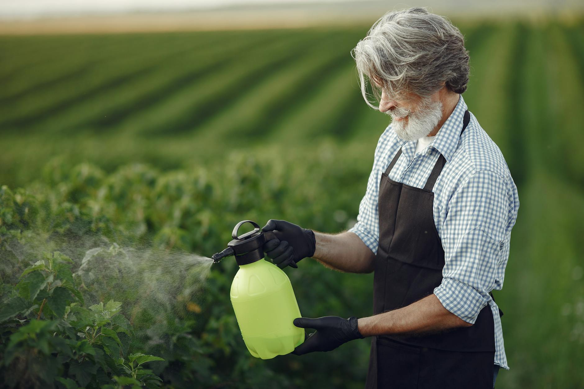 Fungi's Hidden Chemistry: A Greener Shield for Crops