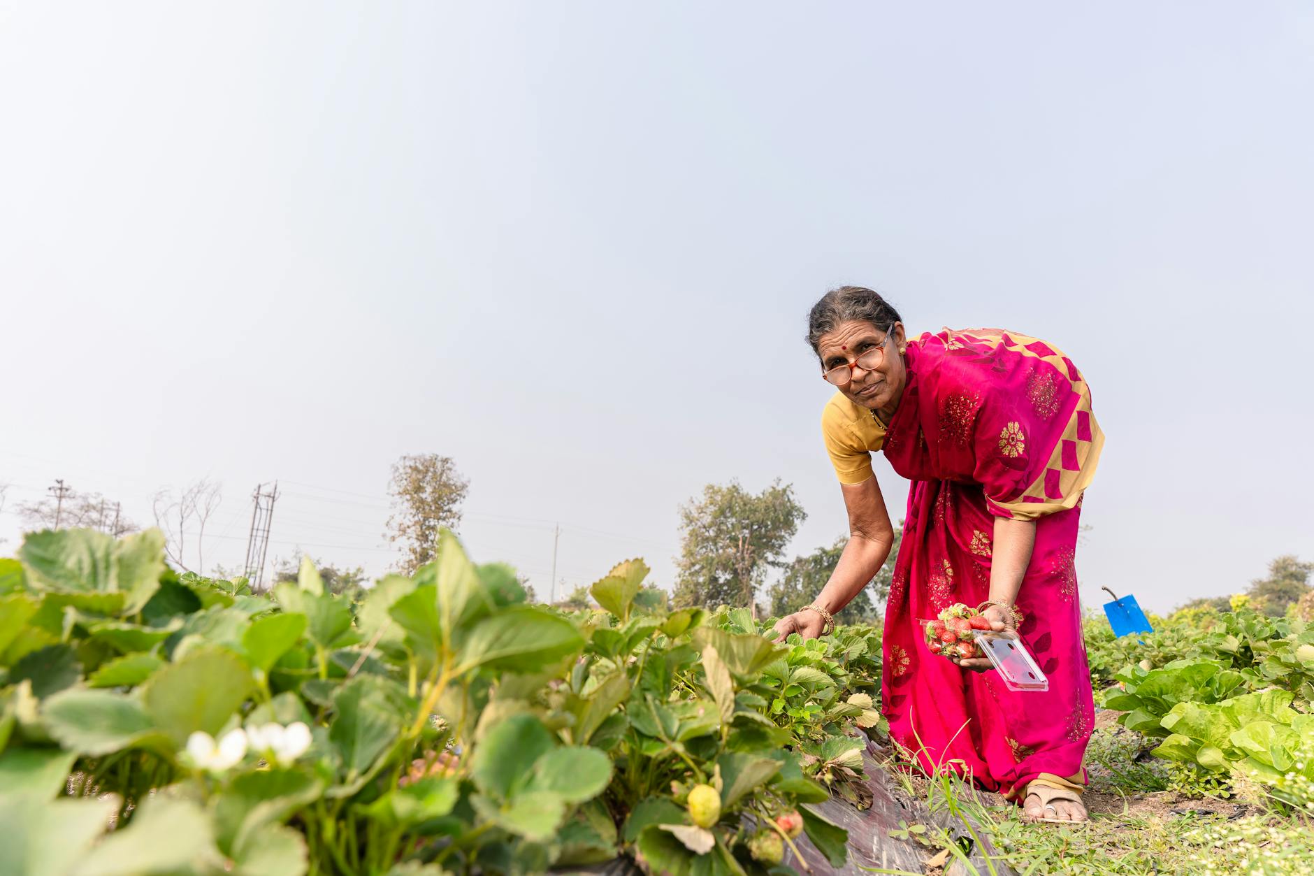 SEHAT Mission: Bridging Agriculture and Health for India's Future