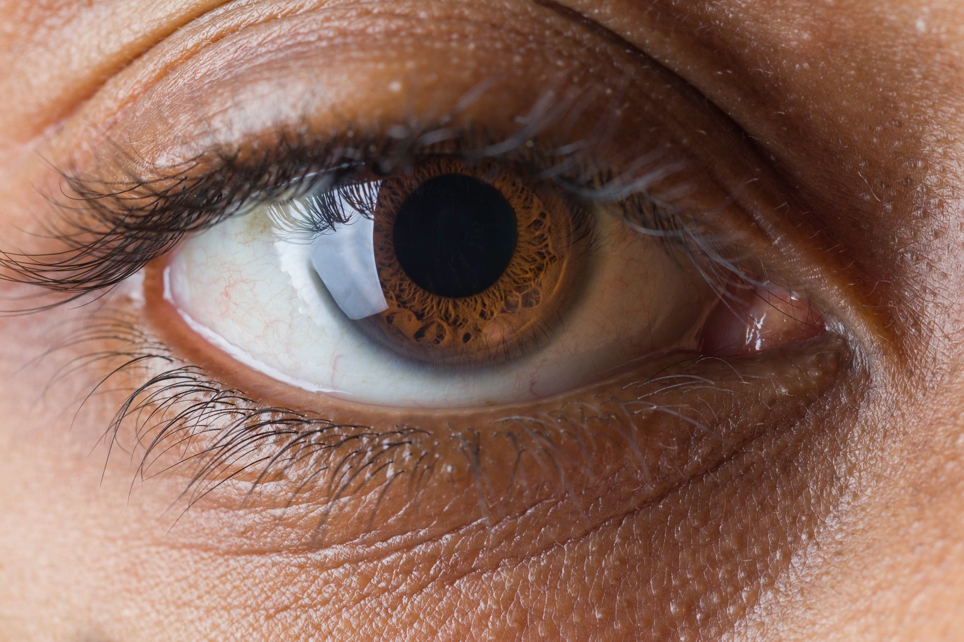 Unveiling Our Cyclopean Origins: The Eye's Ancestral Tale