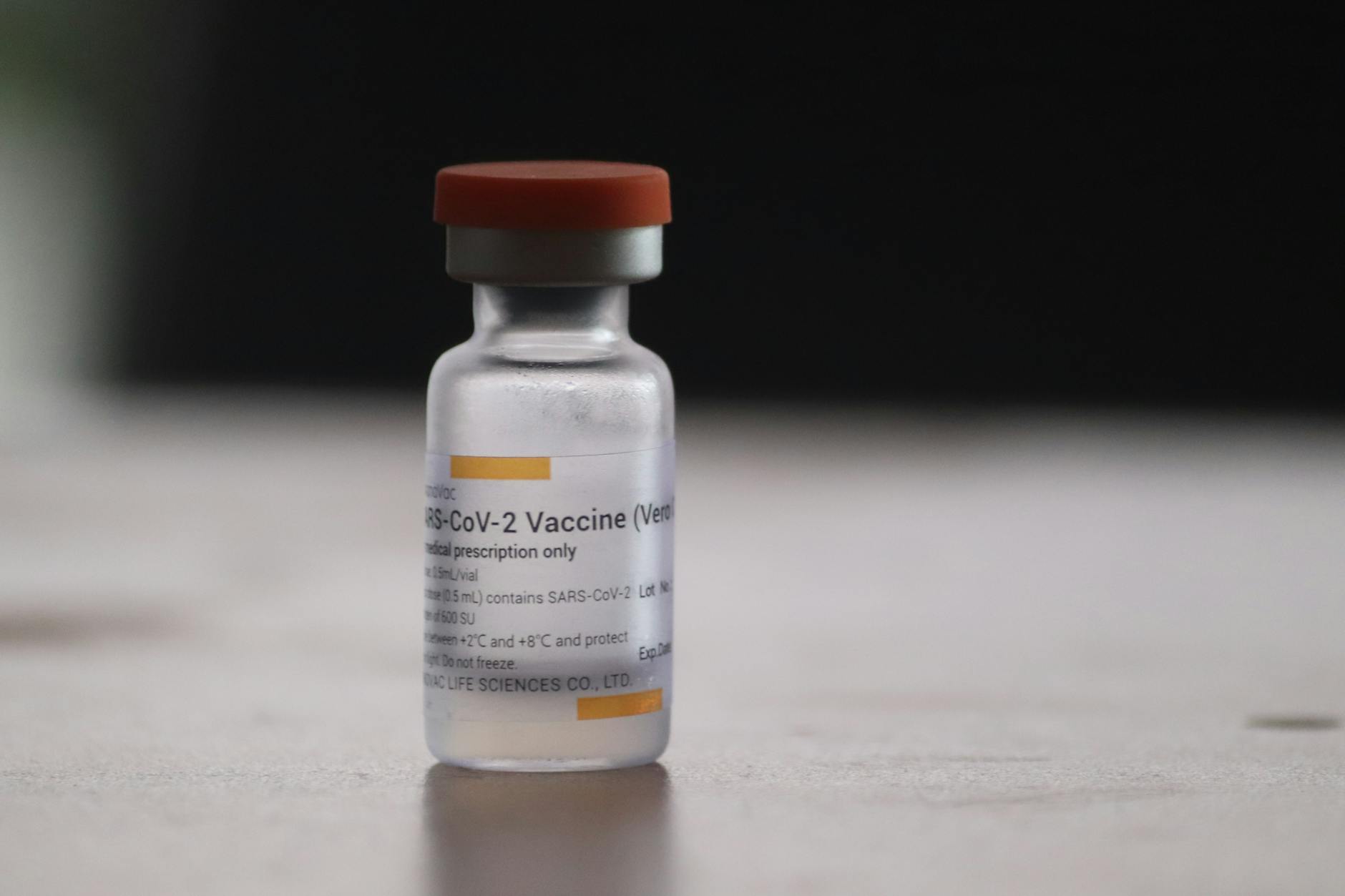 Ebola Vaccine in DR Congo: WHO Predicts Nine-Month Wait