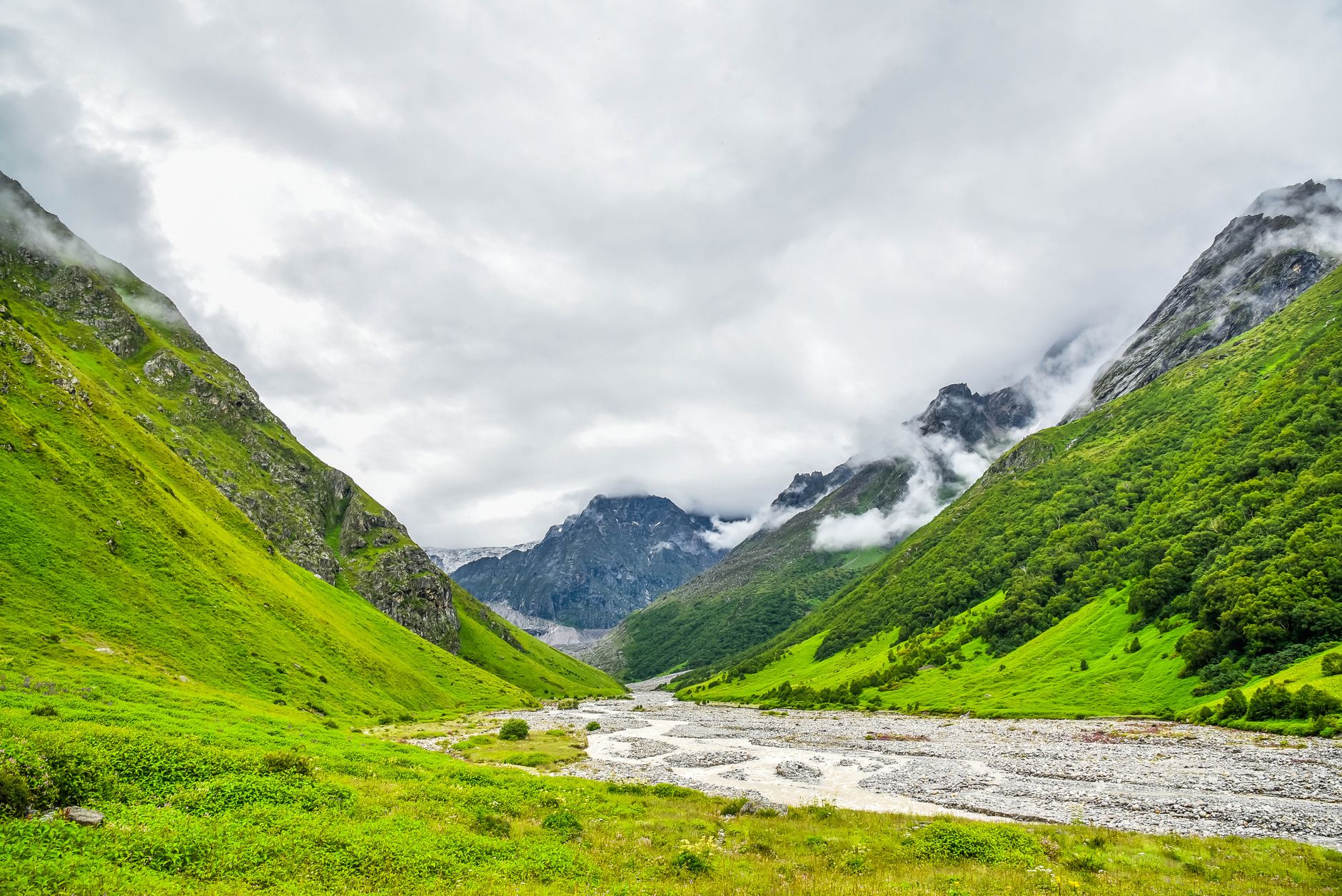 Court Orders Stir Environmental Debate Across India