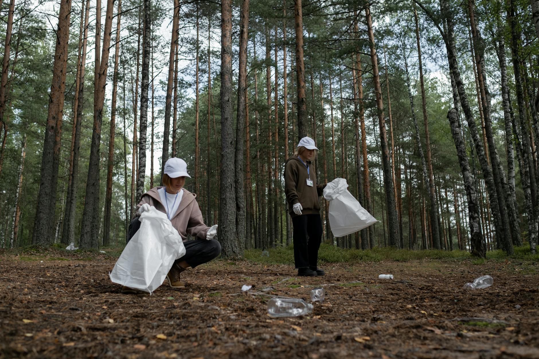 Forest Department Launches Environment Week with Cleanup Initiative
