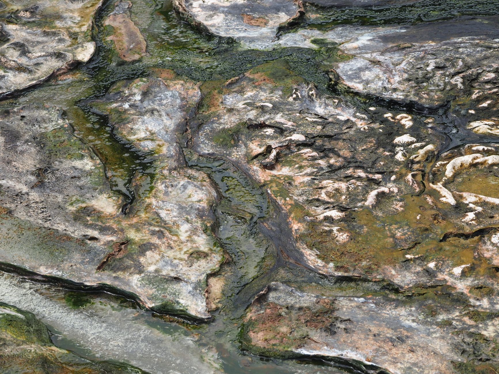 Global Minds Converge at CUK for Anthropocene Conference