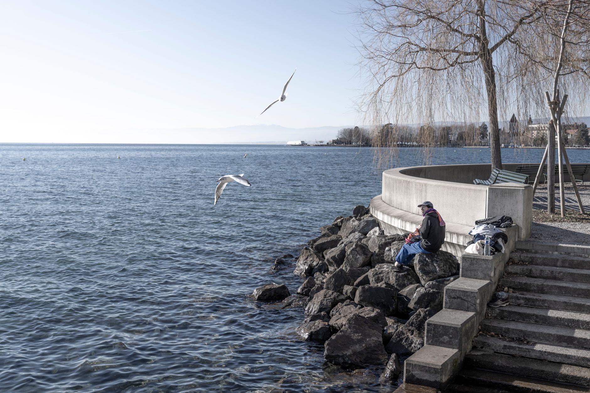 Geneva's Green Agenda: A Week of Environmental Focus