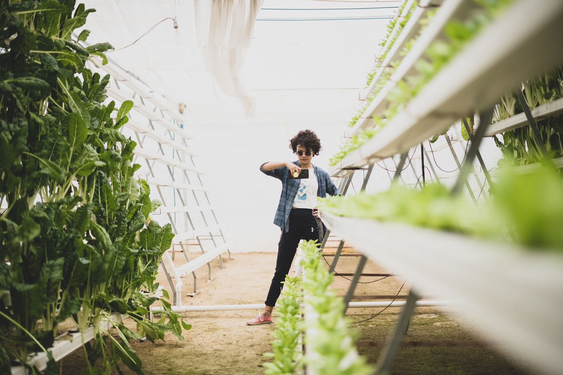 Google Unveils AI Tools to Transform Indian Agriculture and Business