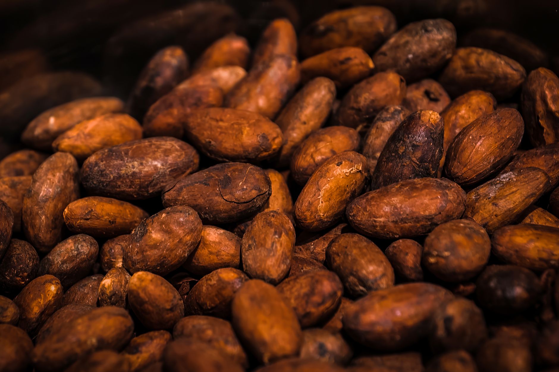 Gut Essentials: Foods That Transform Your Health
