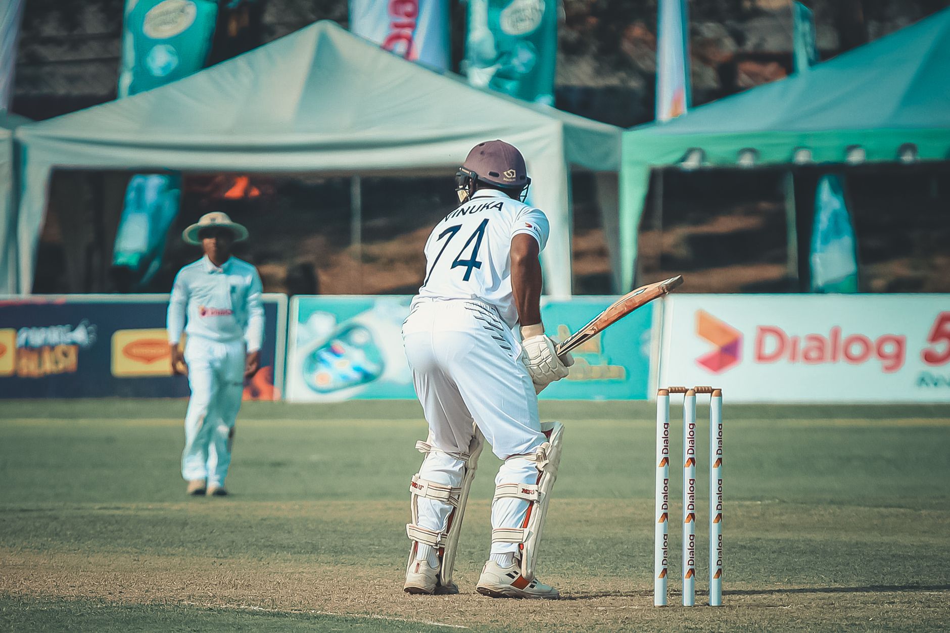 Shafique's Masterclass Ends Pakistan's 49-Year Wait