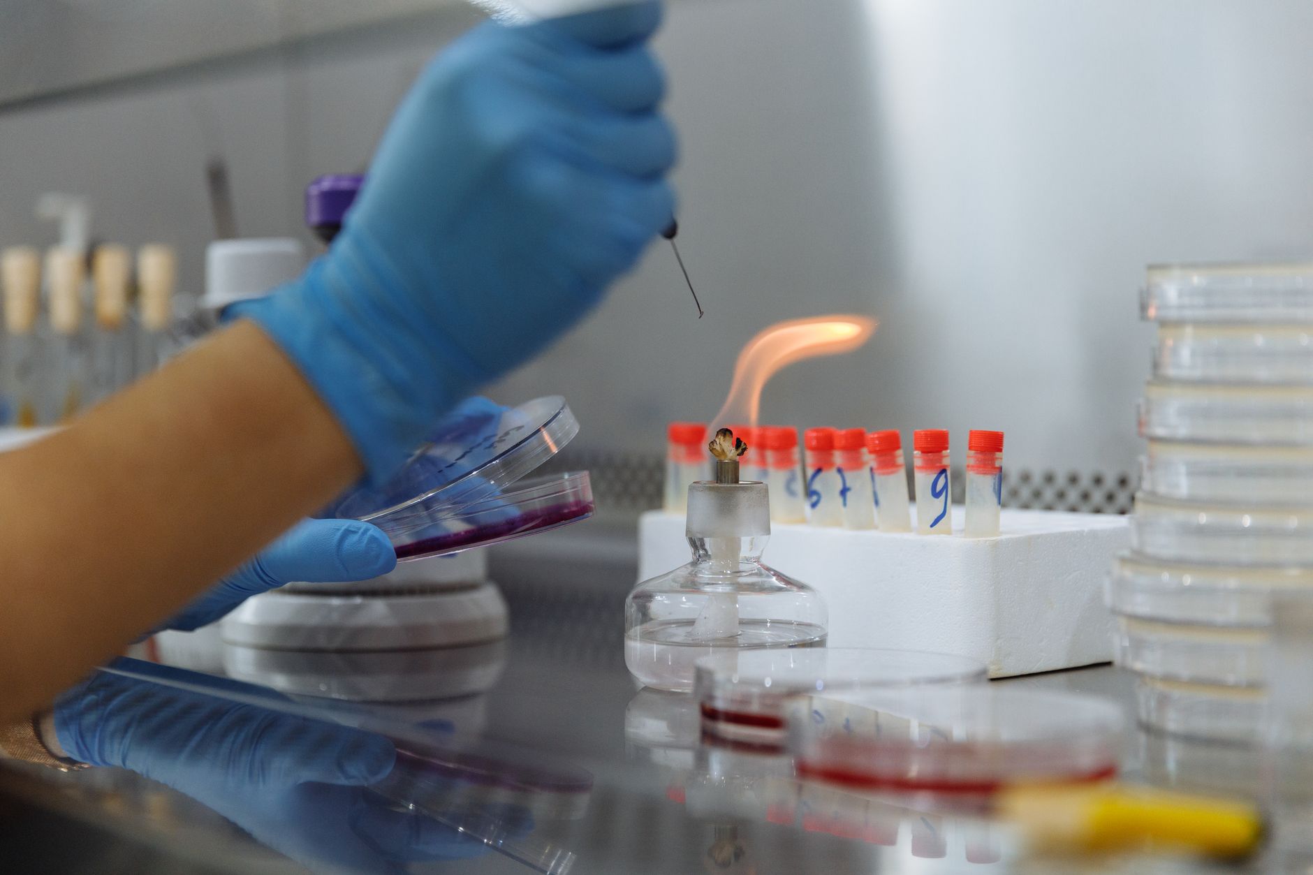 Microbiology and Technology: Cornerstones of a Sustainable Future