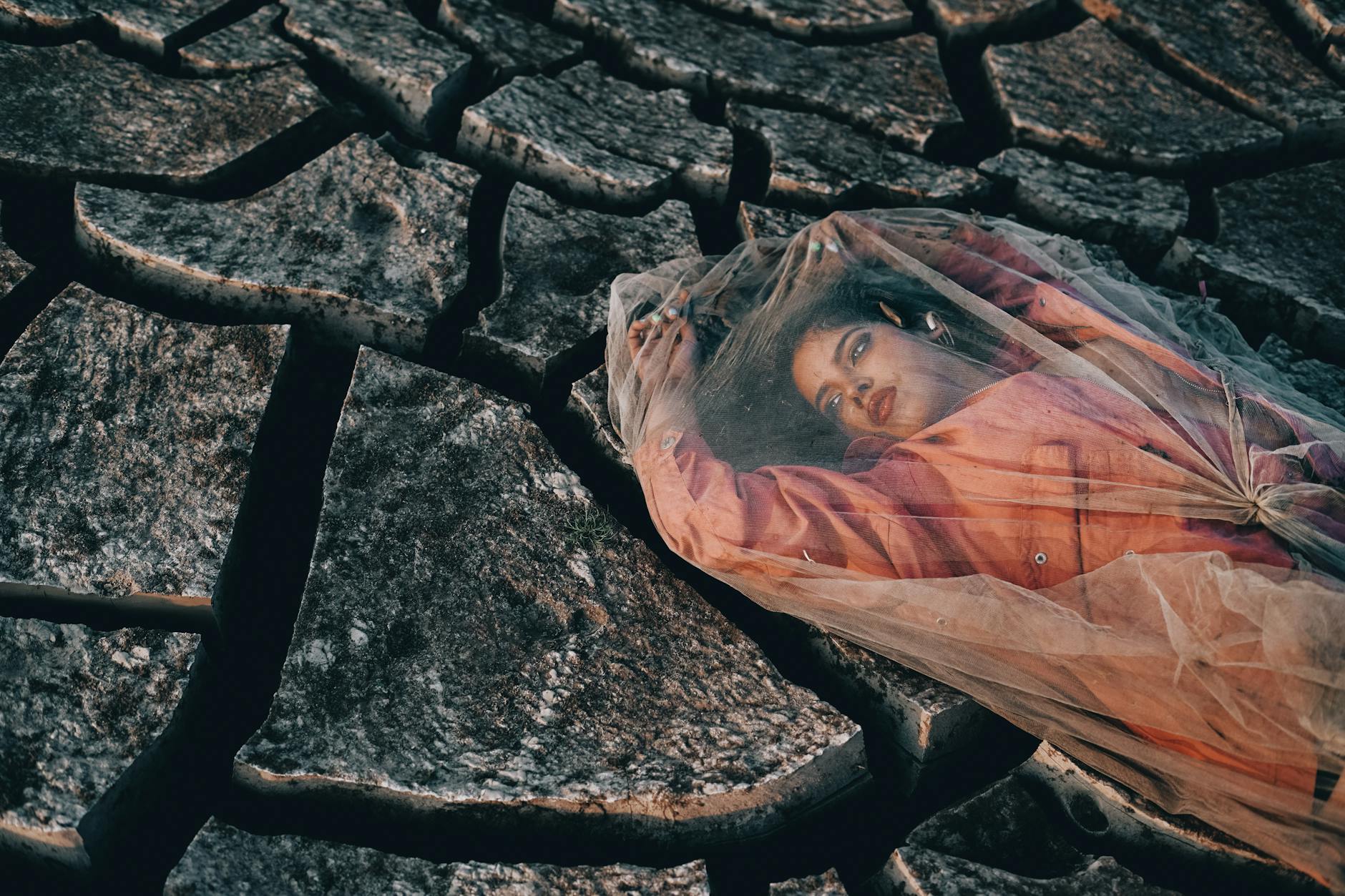 Capturing Change: World Environment Day's Artistic Lens