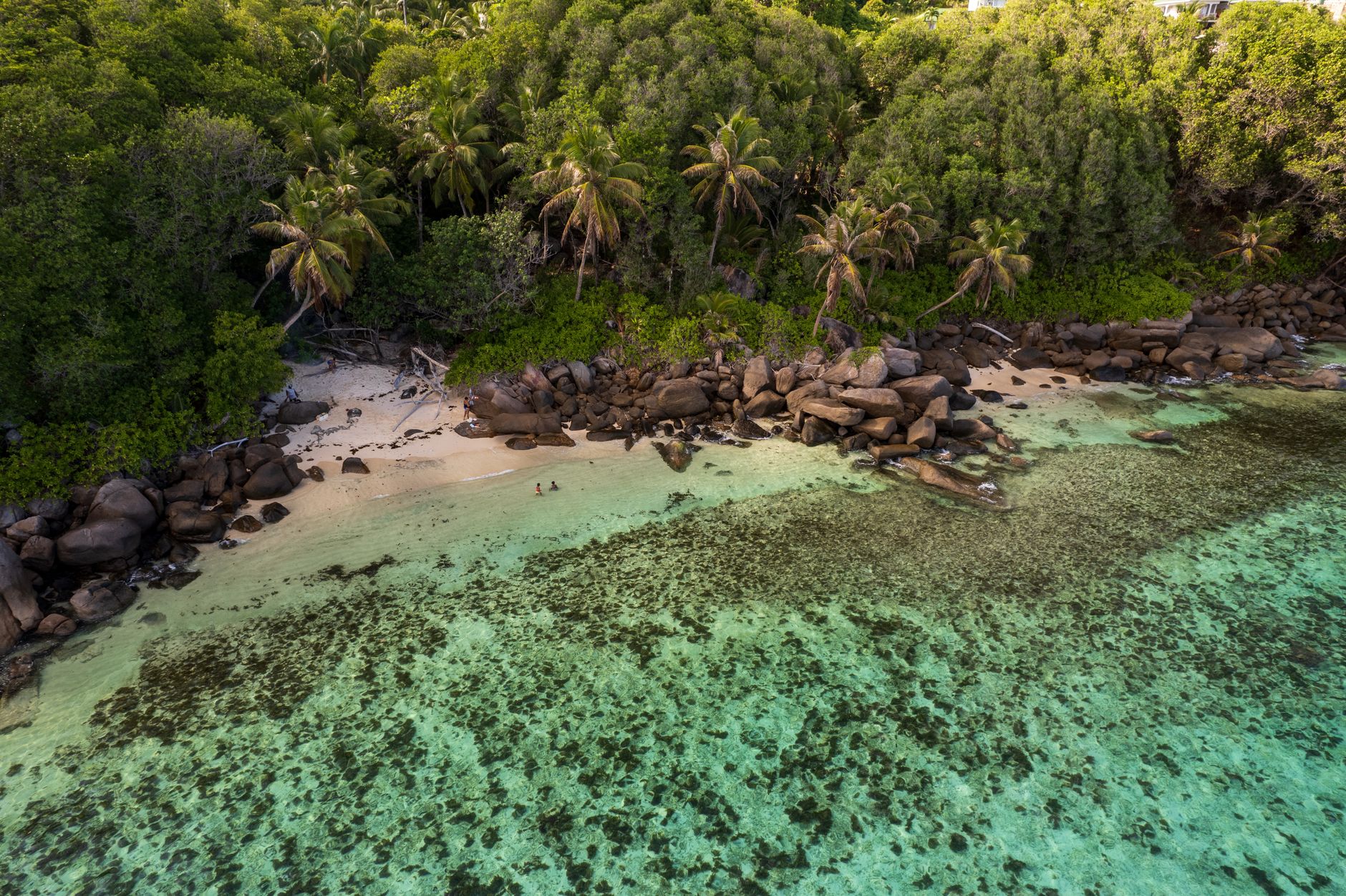 Modi Honoured by Seychelles for Environmental Commitment