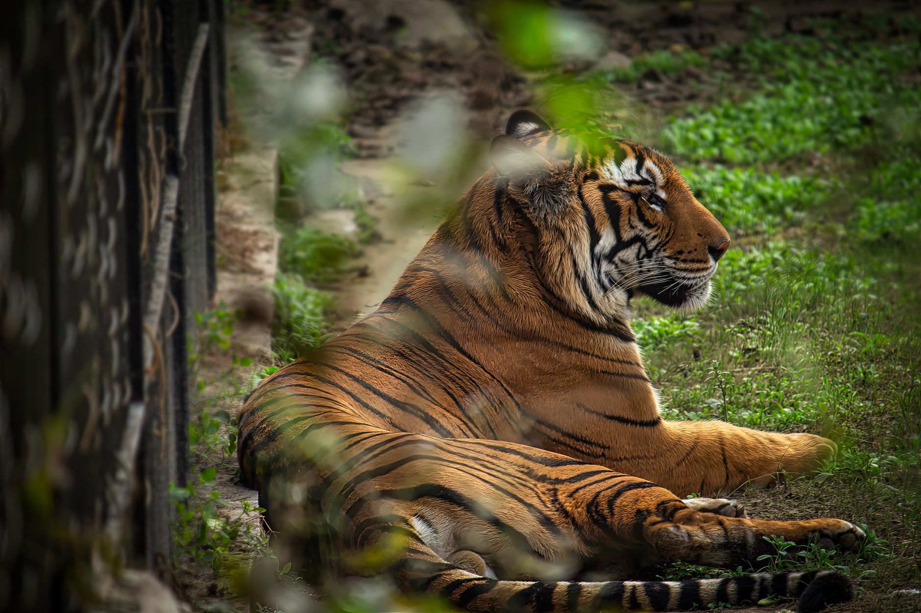 Zoological Park's Cleanliness Drive Champions Eco-Friendly Living