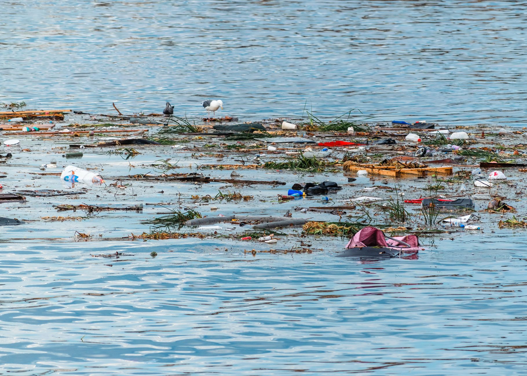 New Plan Aims to Tackle Muskoka's Watershed Woes
