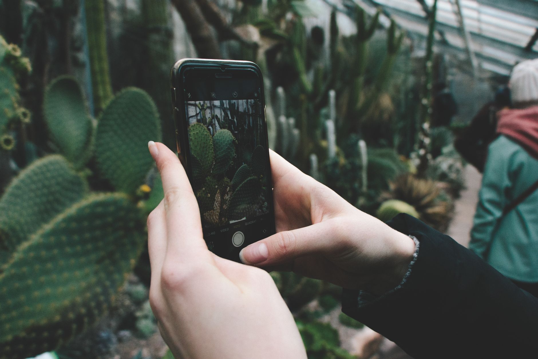 AI's Role in Preventing Plant Extinction: A New Hope
