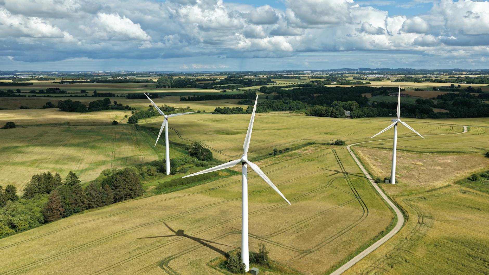 India and Nordic Nations Forge Green Tech Alliance