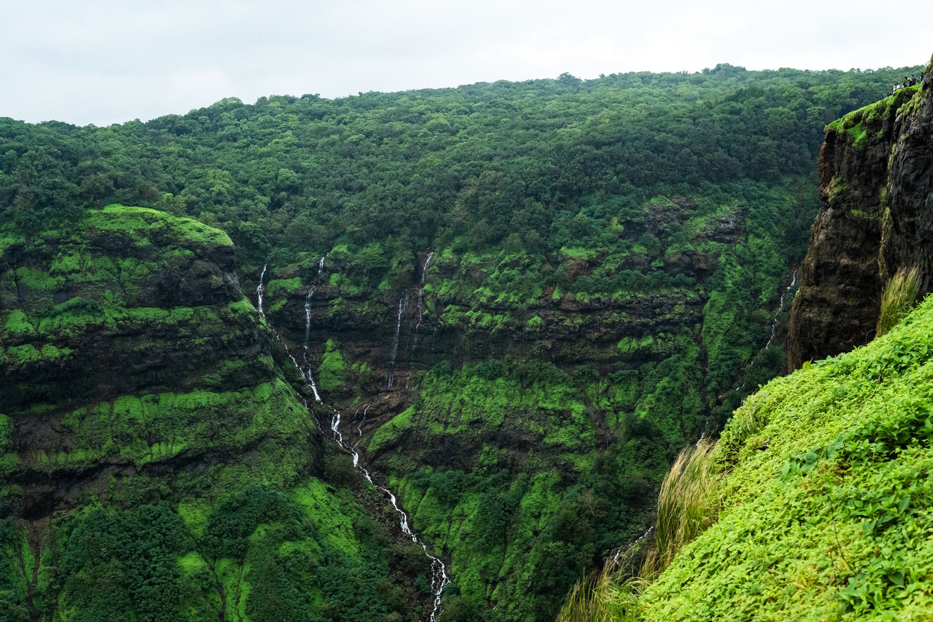 Environmental Damage at Mahabaleshwar and Matheran Spurs Government Action