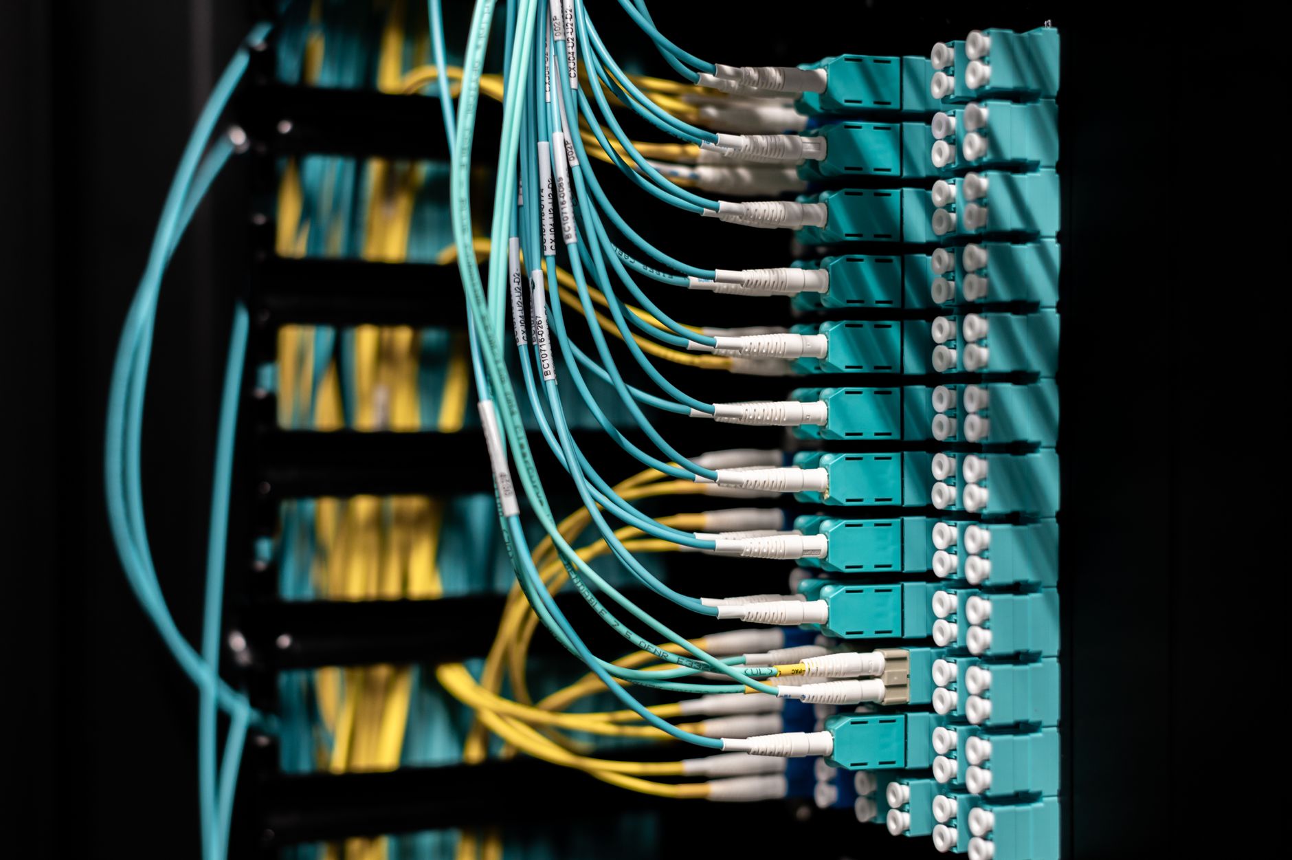 Microsoft's Forest-Camouflaged Data Centres: A Solution or a New Problem?